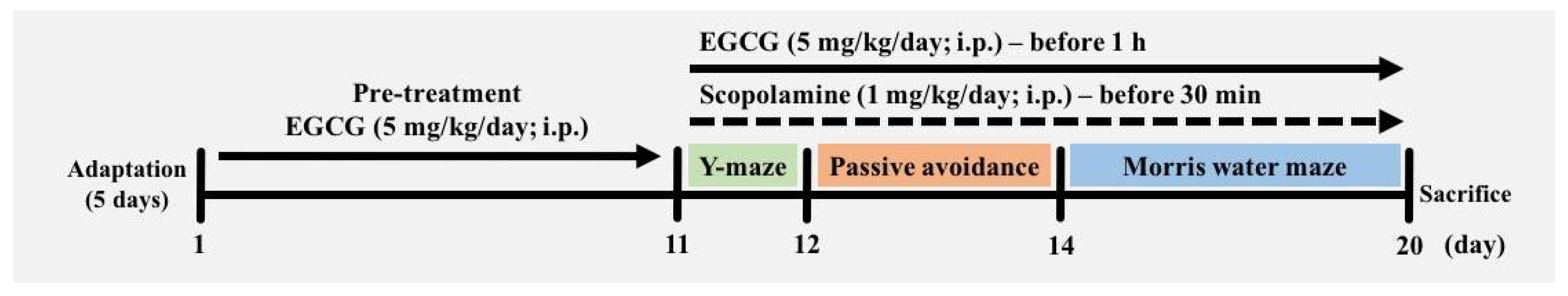 Antioxidants 11 00001 g001