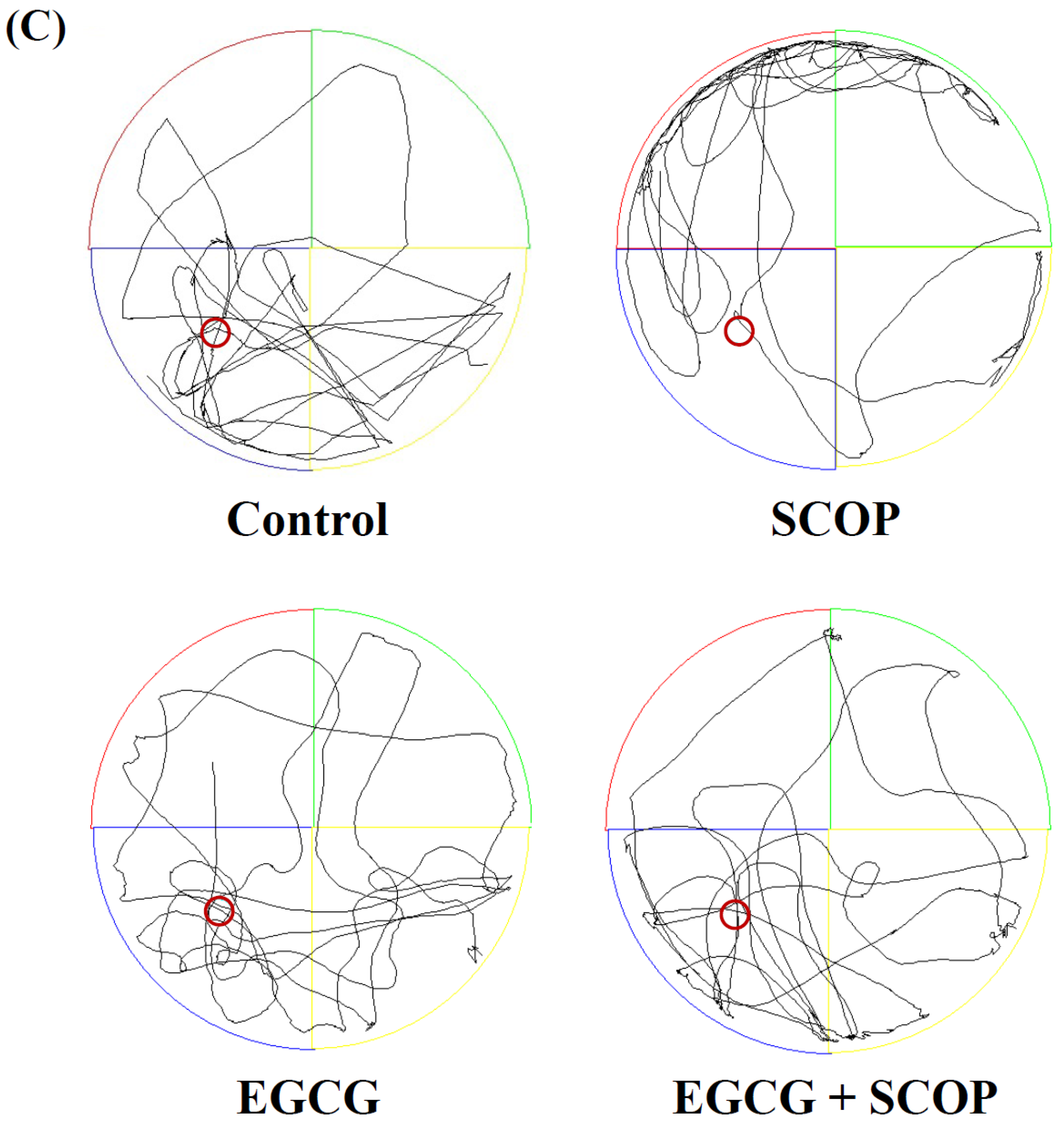 Antioxidants 11 00001 g004b