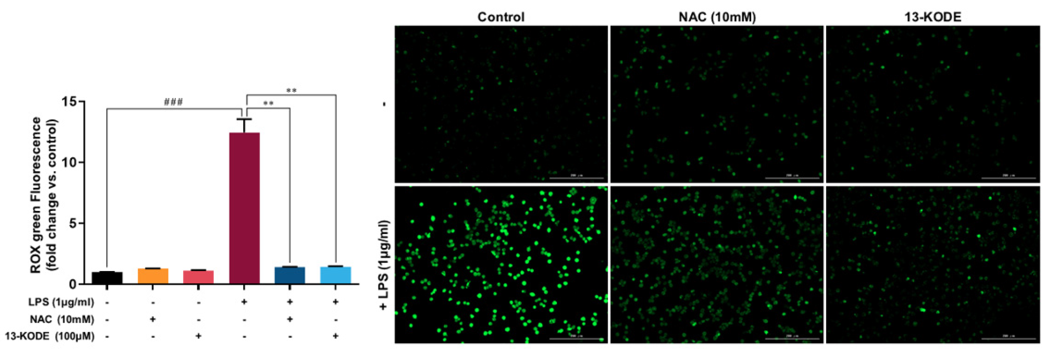 Antioxidants 11 00180 g006