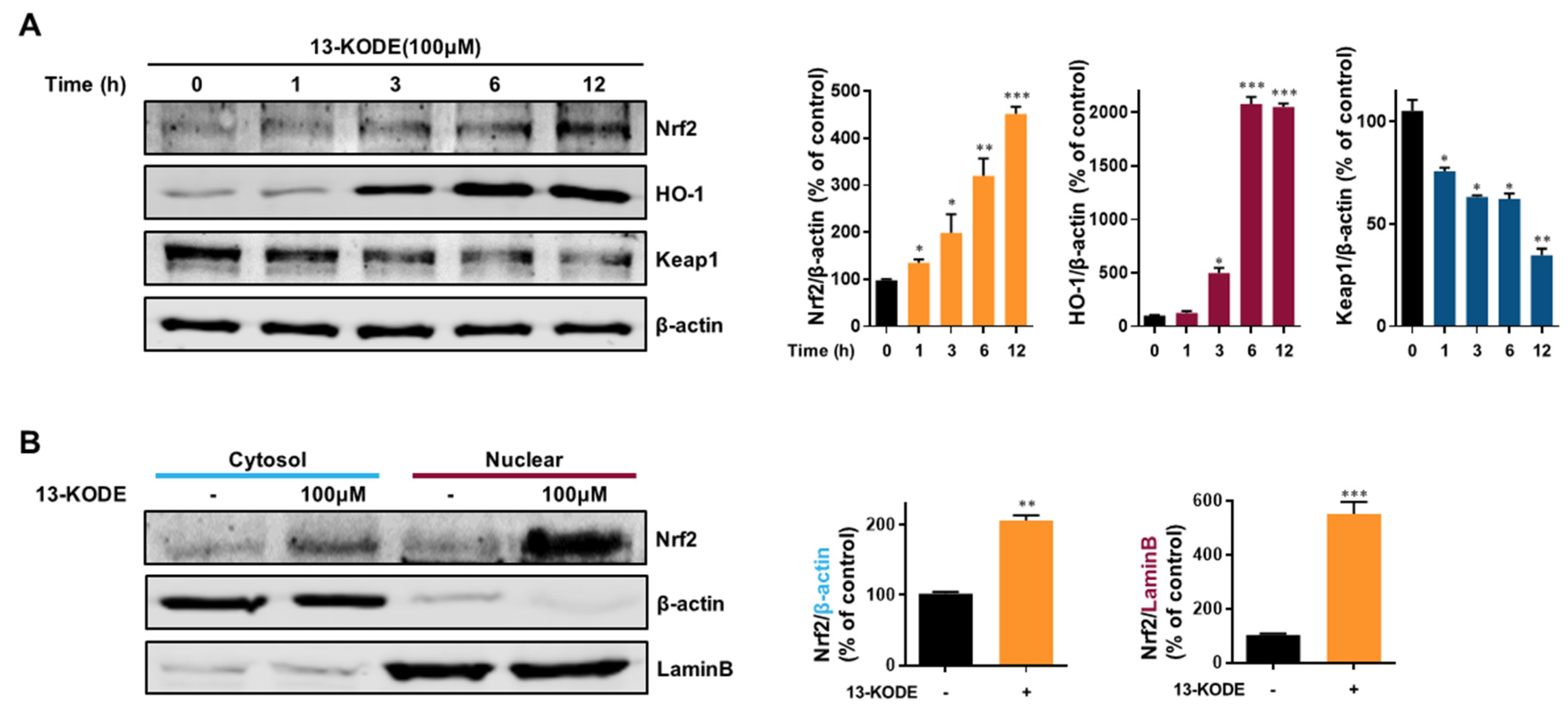 Antioxidants 11 00180 g007