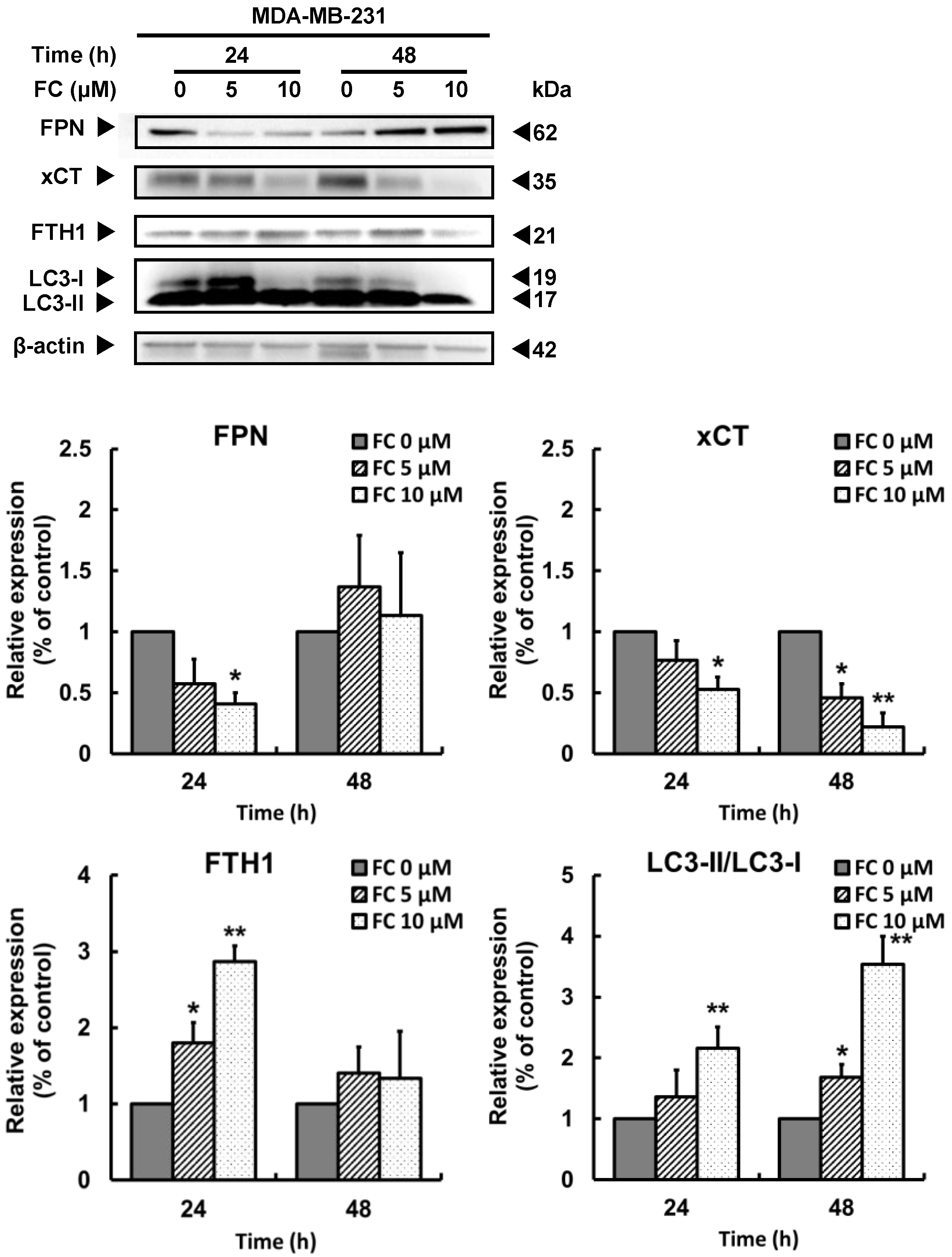 Antioxidants 11 00298 g003