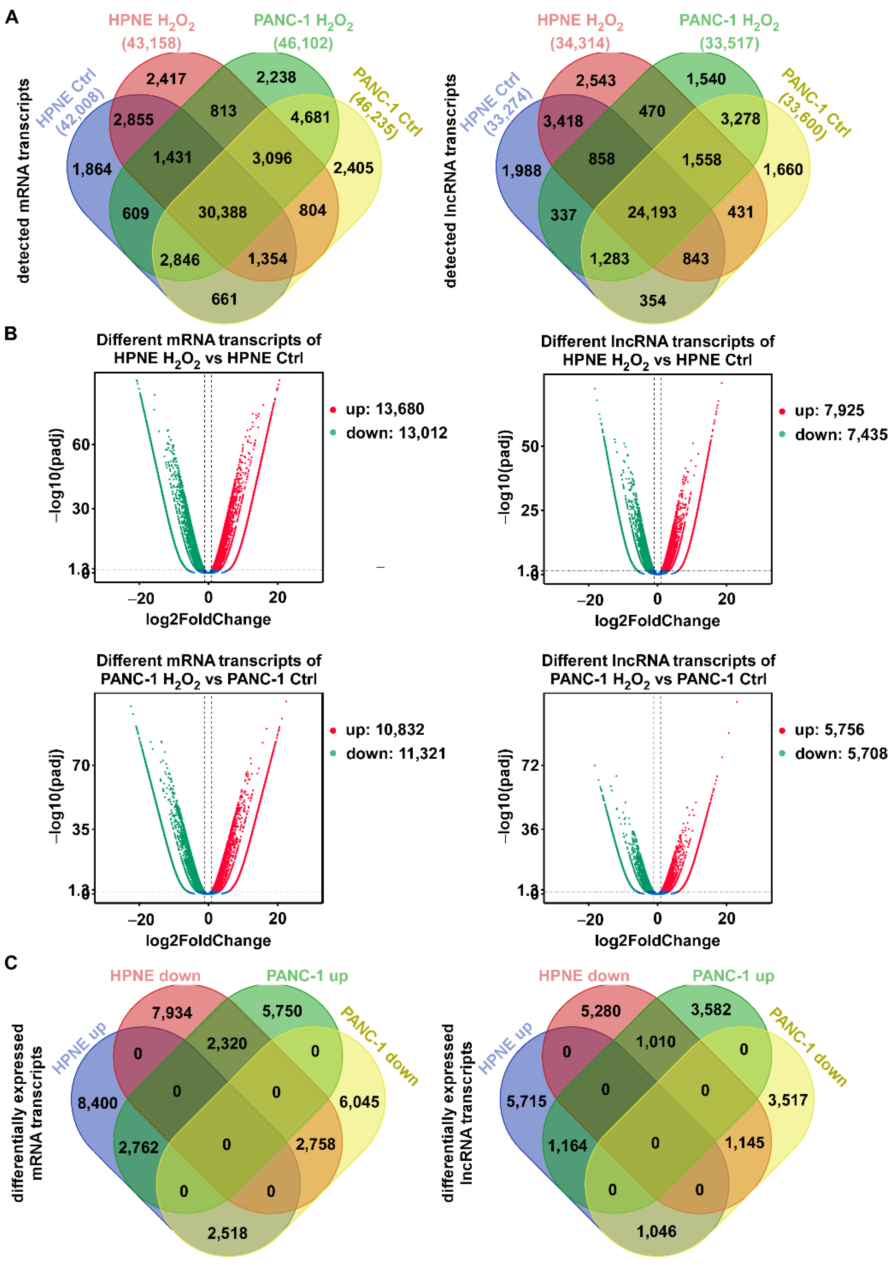 Antioxidants 11 00495 g001 Antioxidants 11 00495 g001