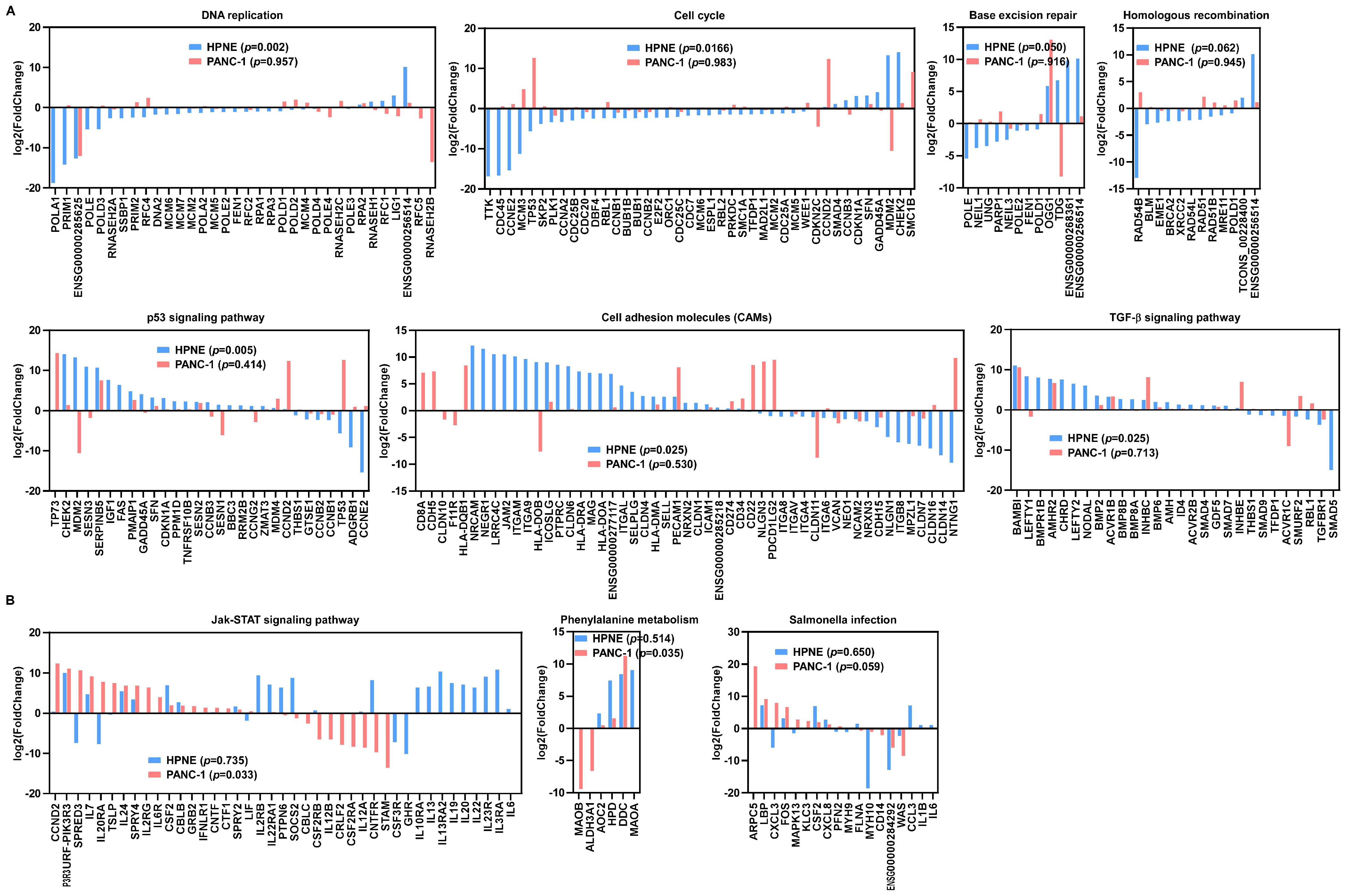 Antioxidants 11 00495 g003 Antioxidants 11 00495 g003