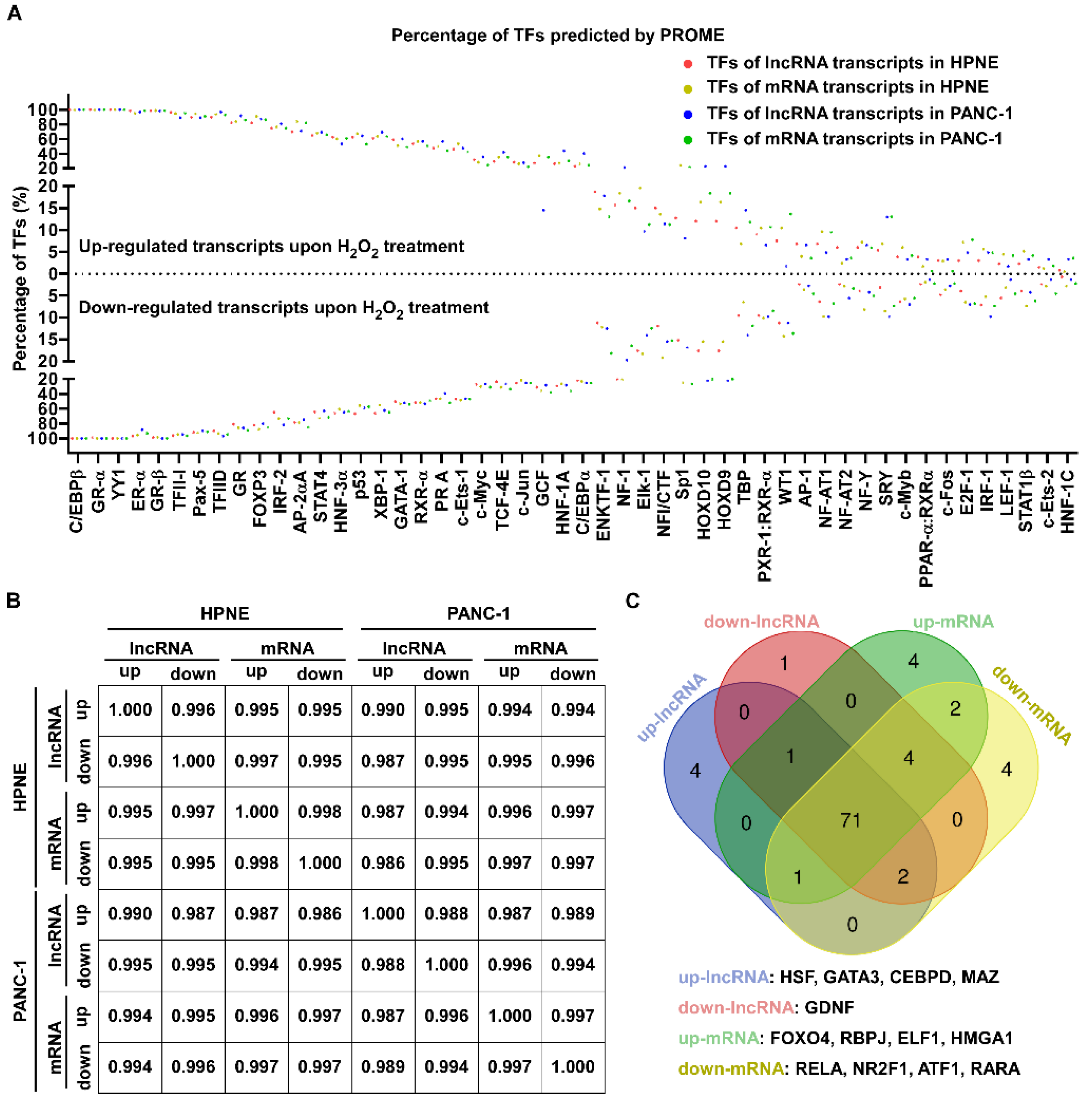 Antioxidants 11 00495 g005 Antioxidants 11 00495 g005