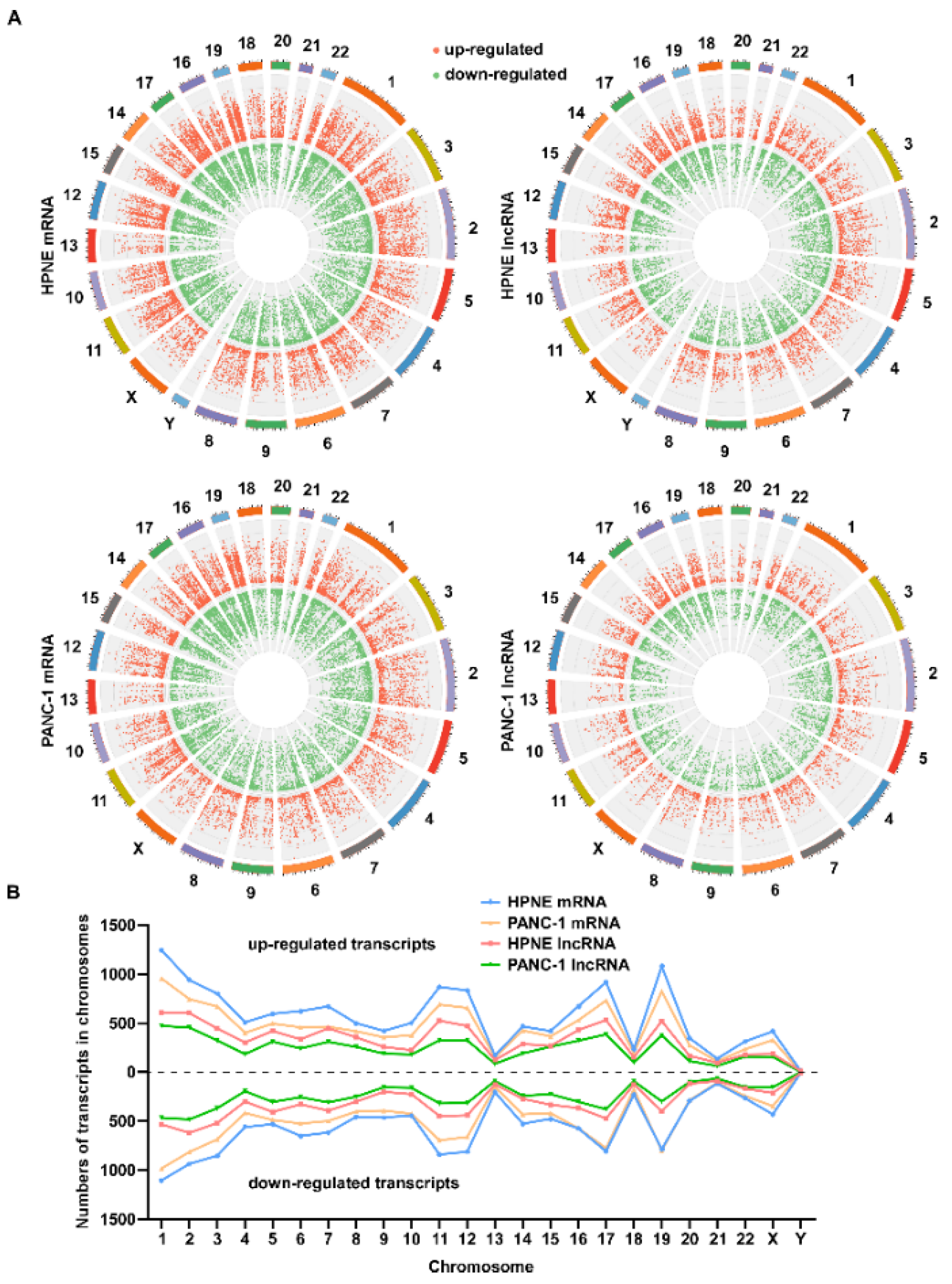 Antioxidants 11 00495 g007 Antioxidants 11 00495 g007