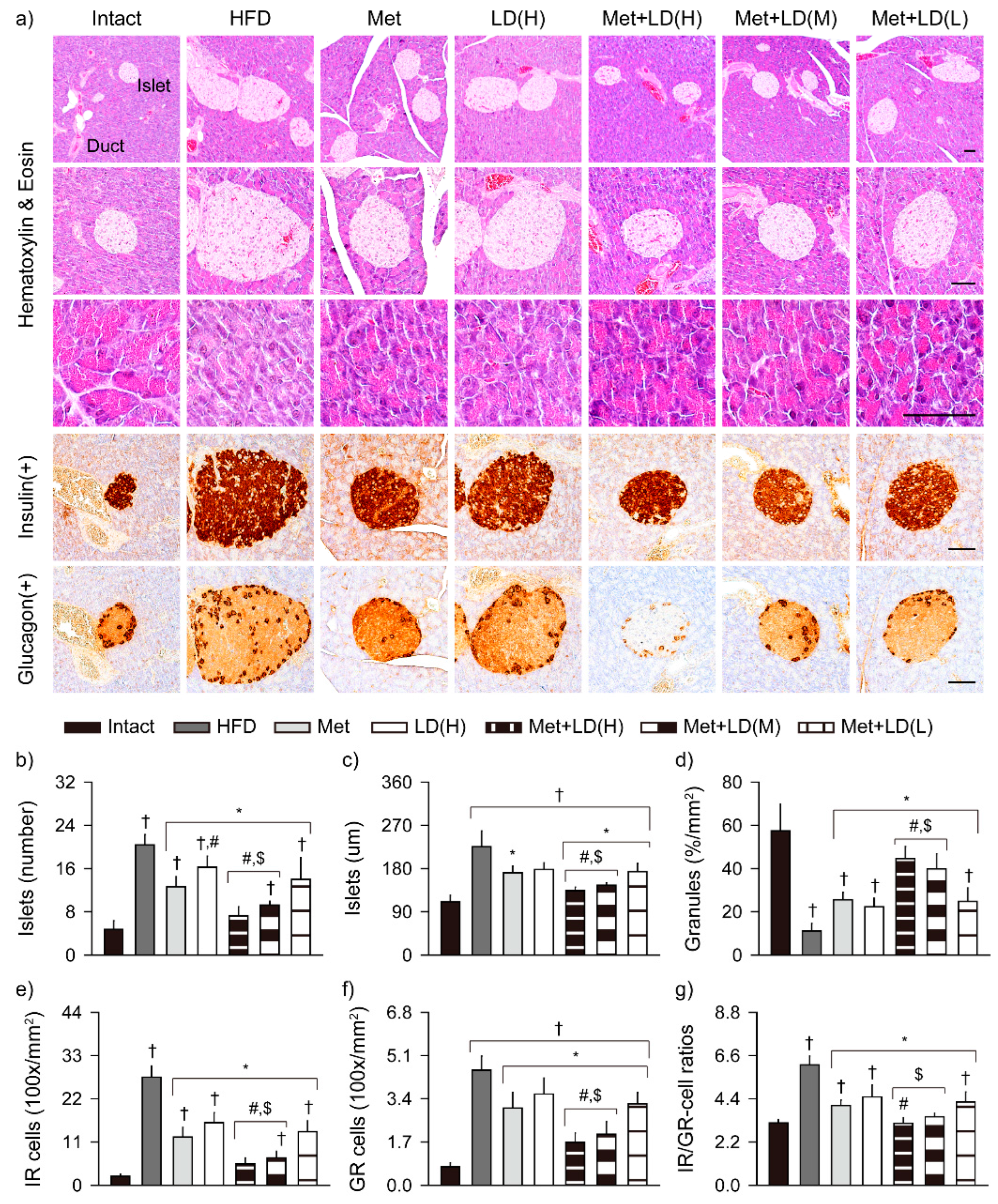 Antioxidants 11 00580 g008