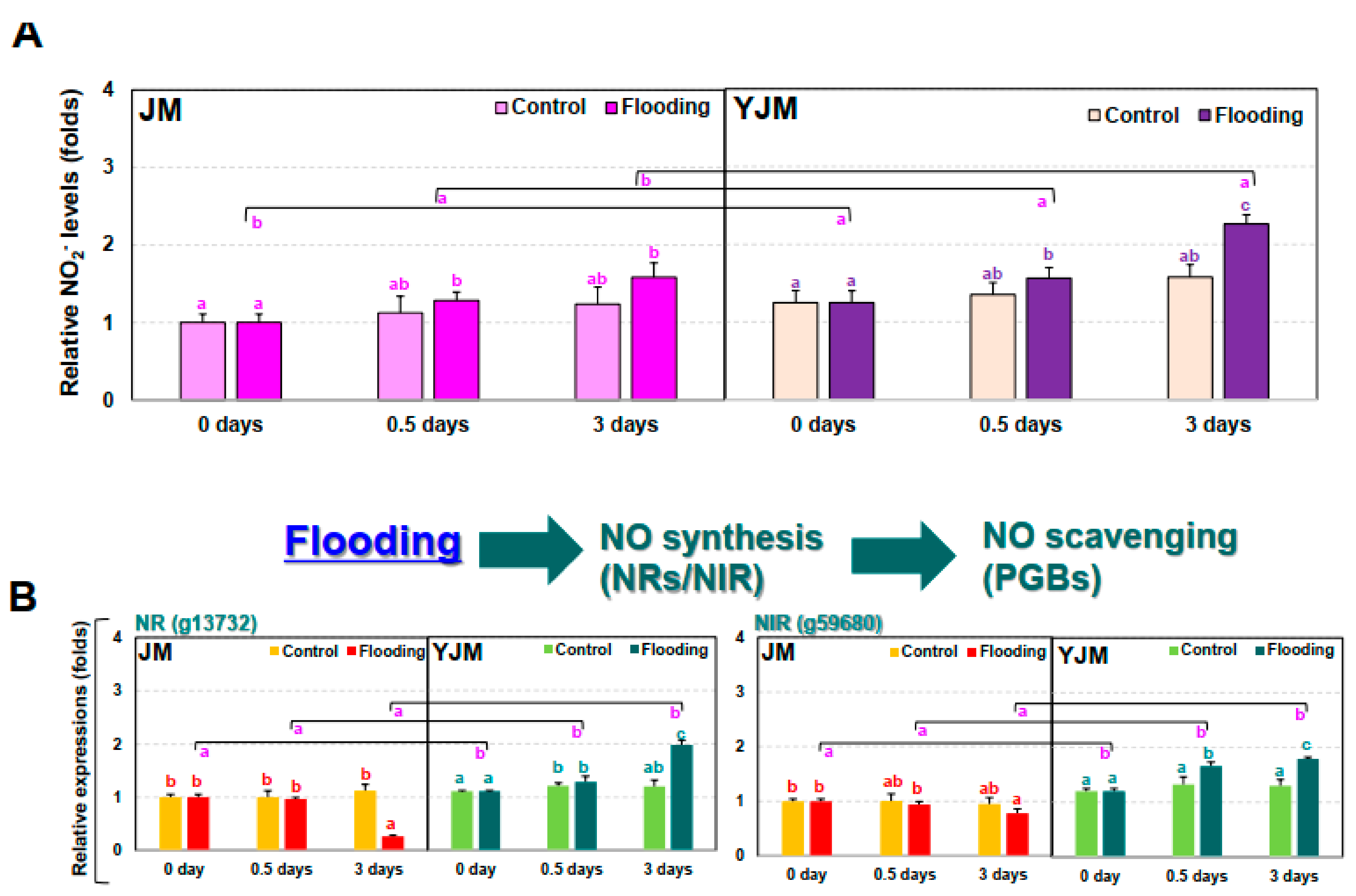Antioxidants 11 00878 g003a