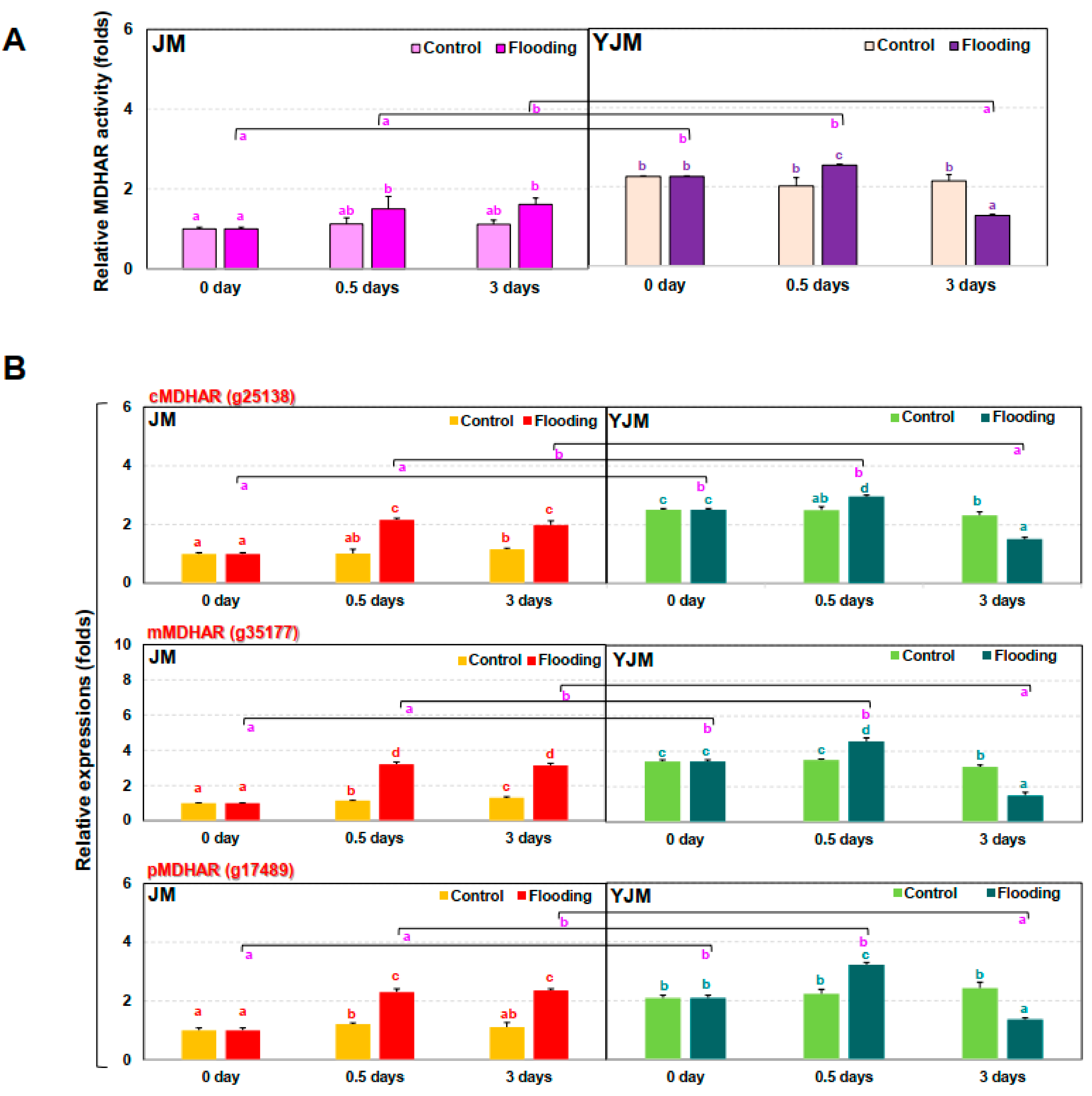 Antioxidants 11 00878 g004