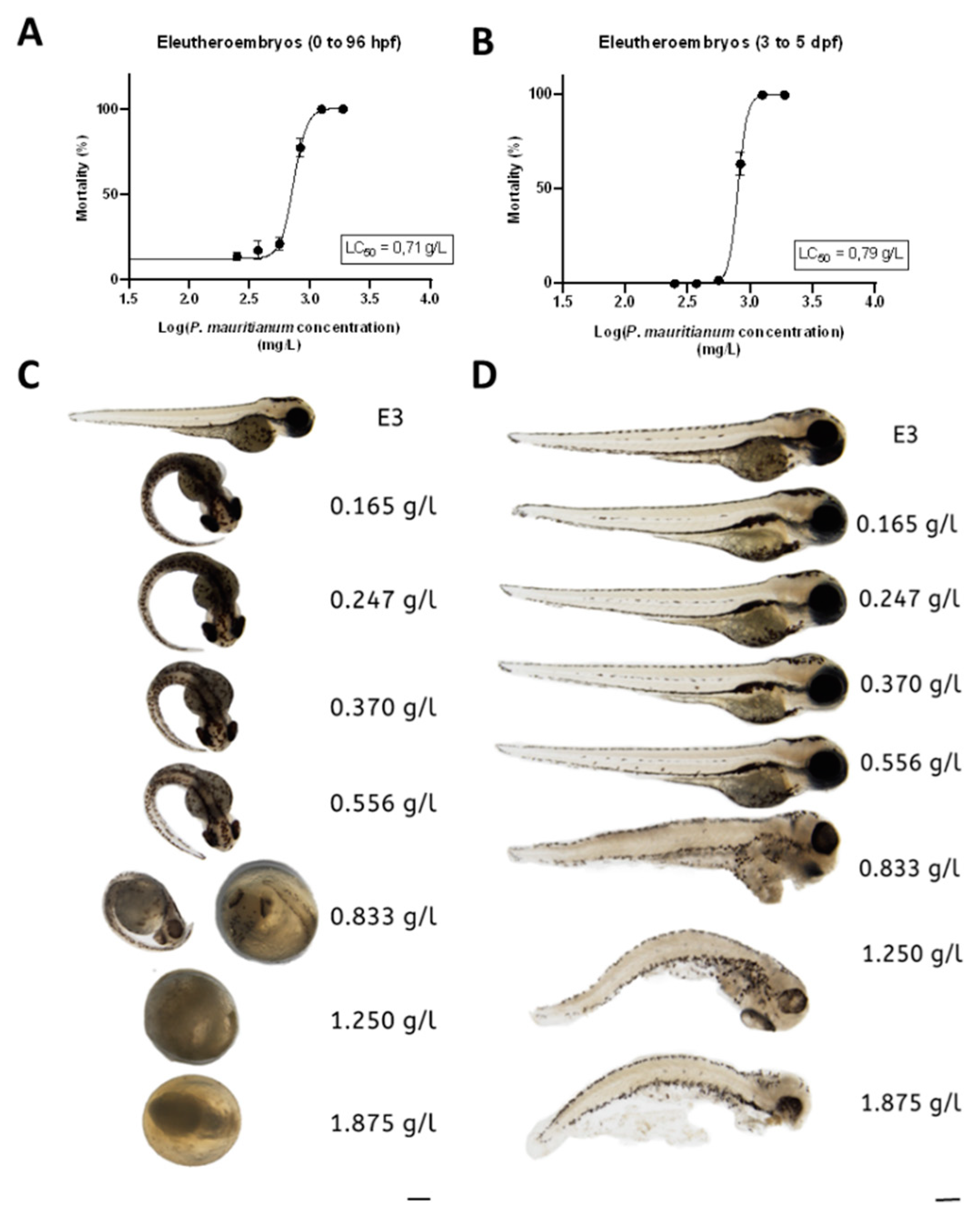Antioxidants 11 01309 g002