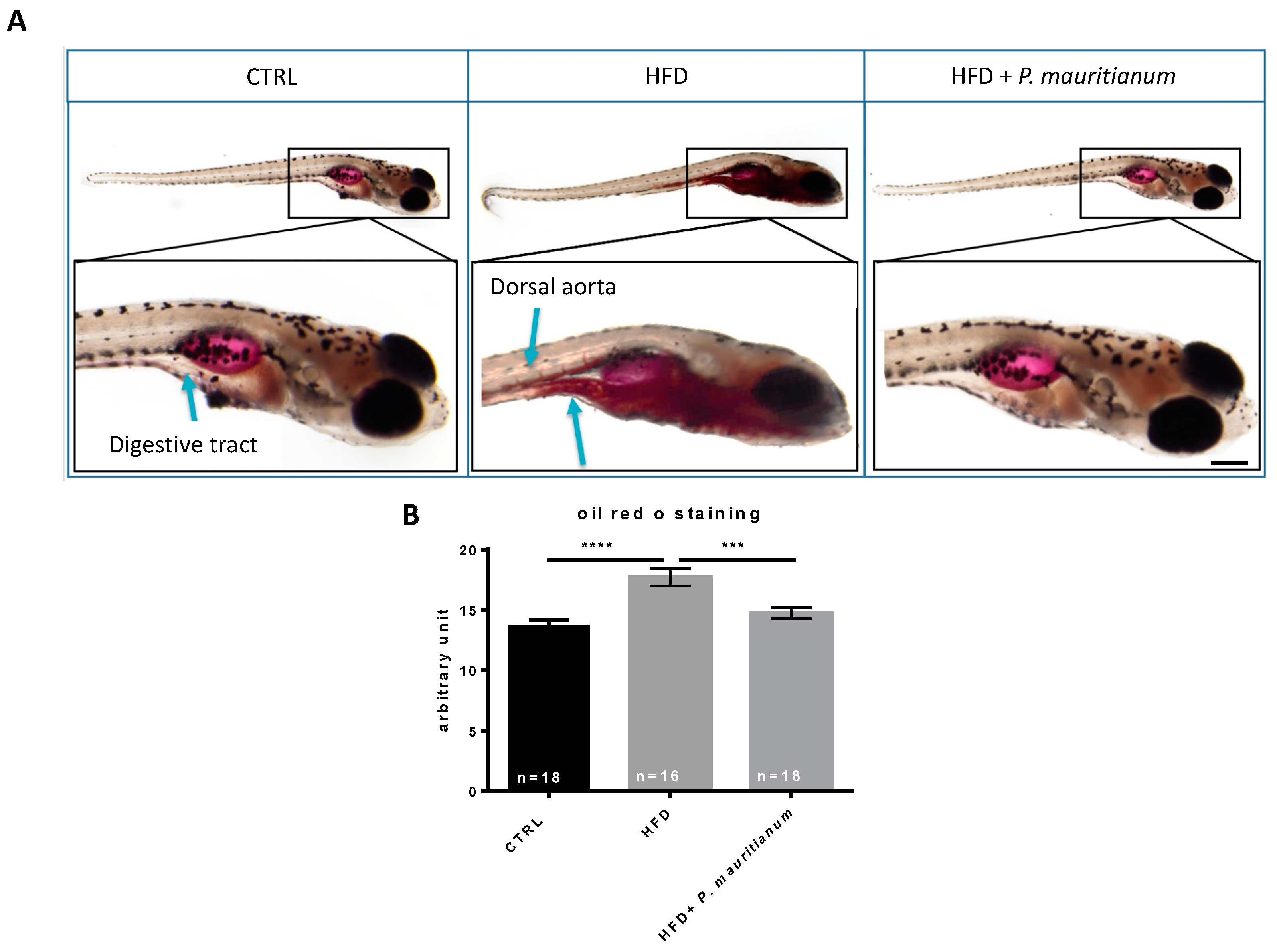 Antioxidants 11 01309 g004