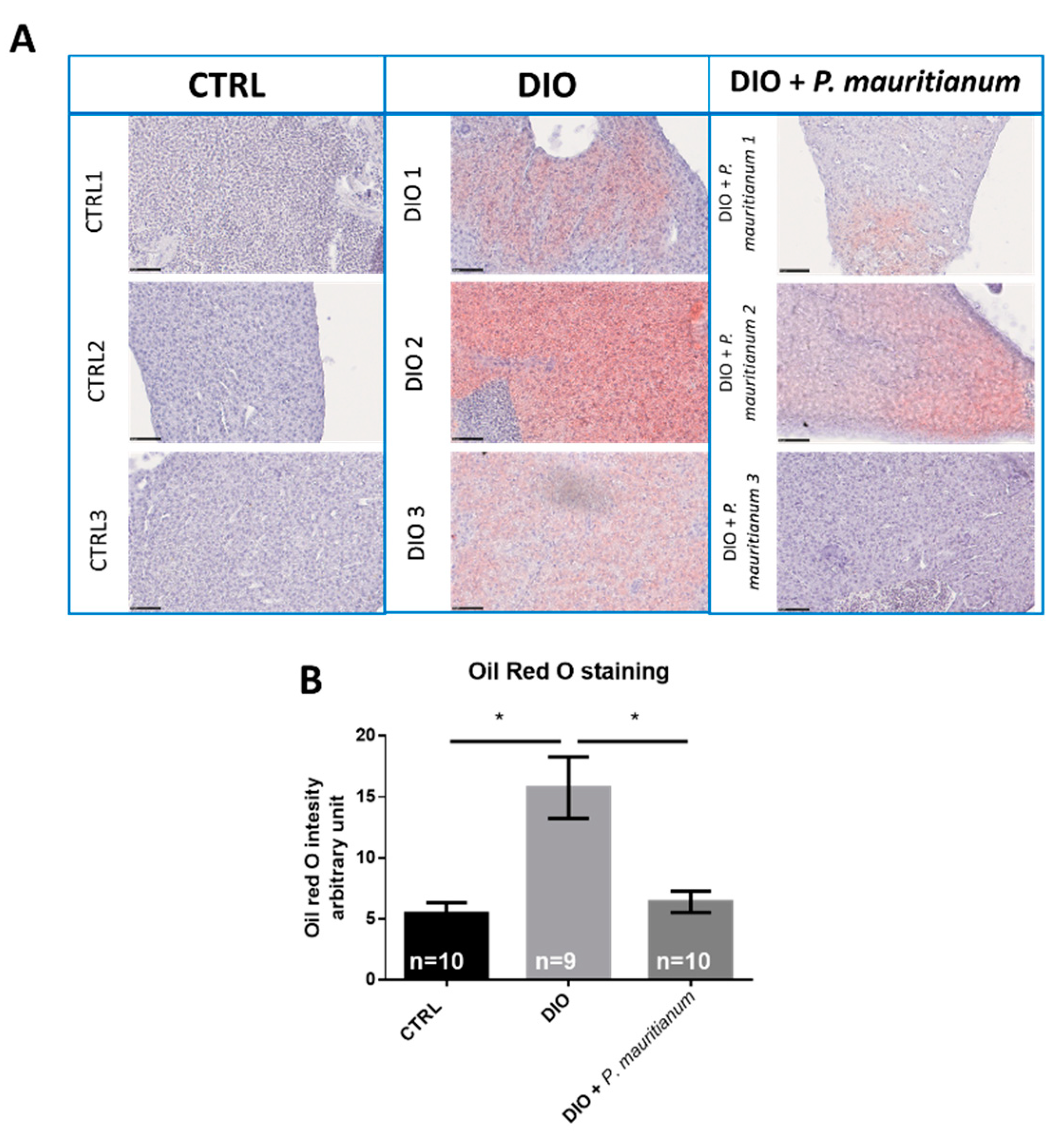 Antioxidants 11 01309 g006