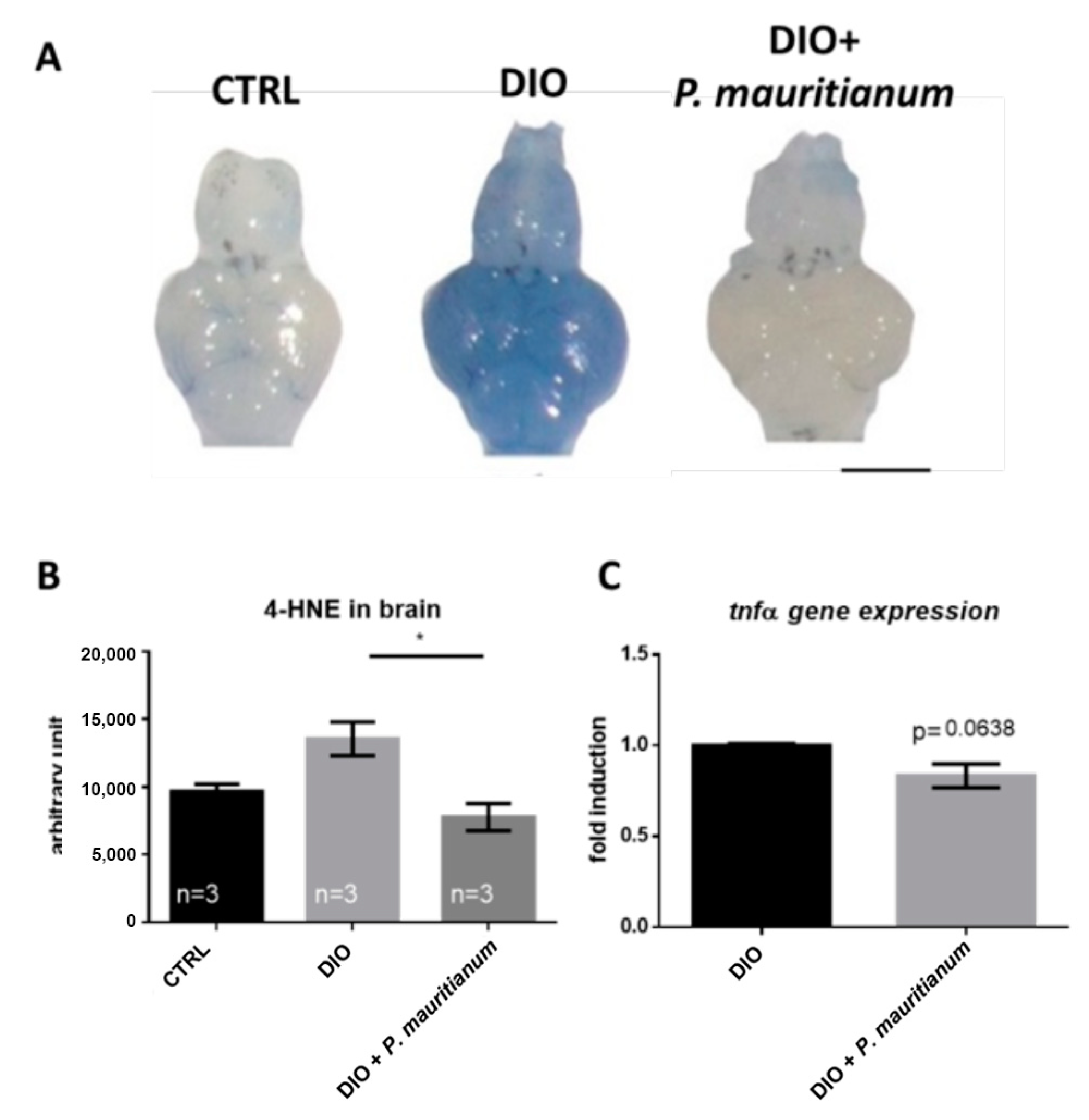 Antioxidants 11 01309 g007
