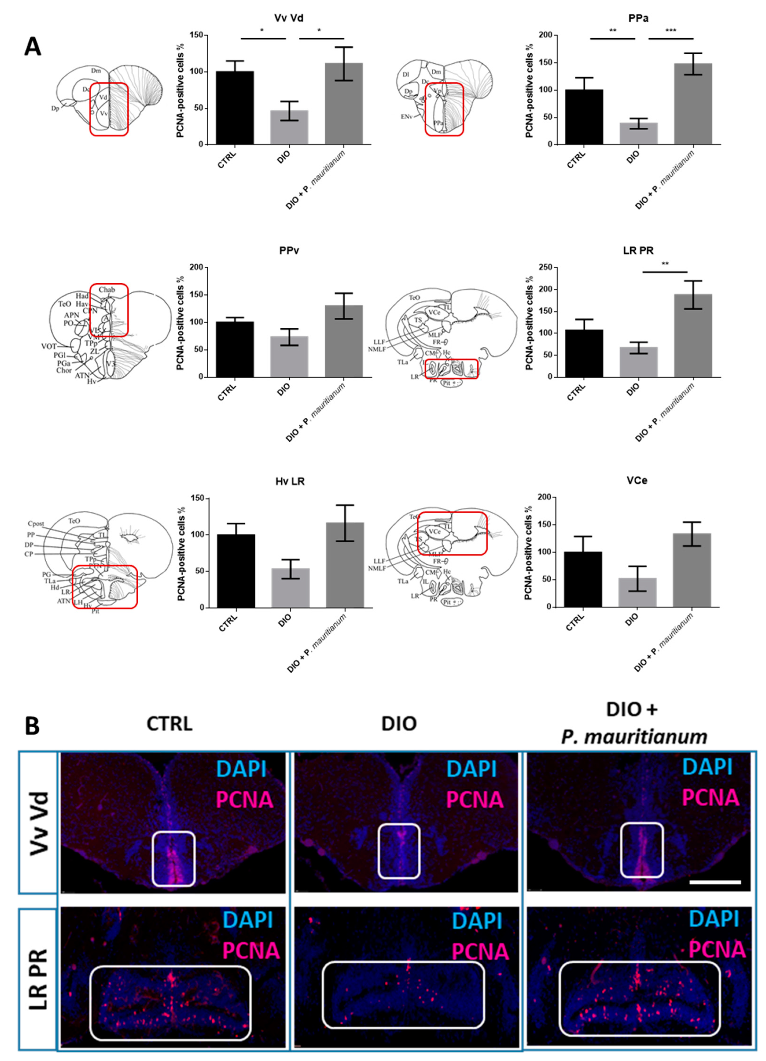 Antioxidants 11 01309 g008