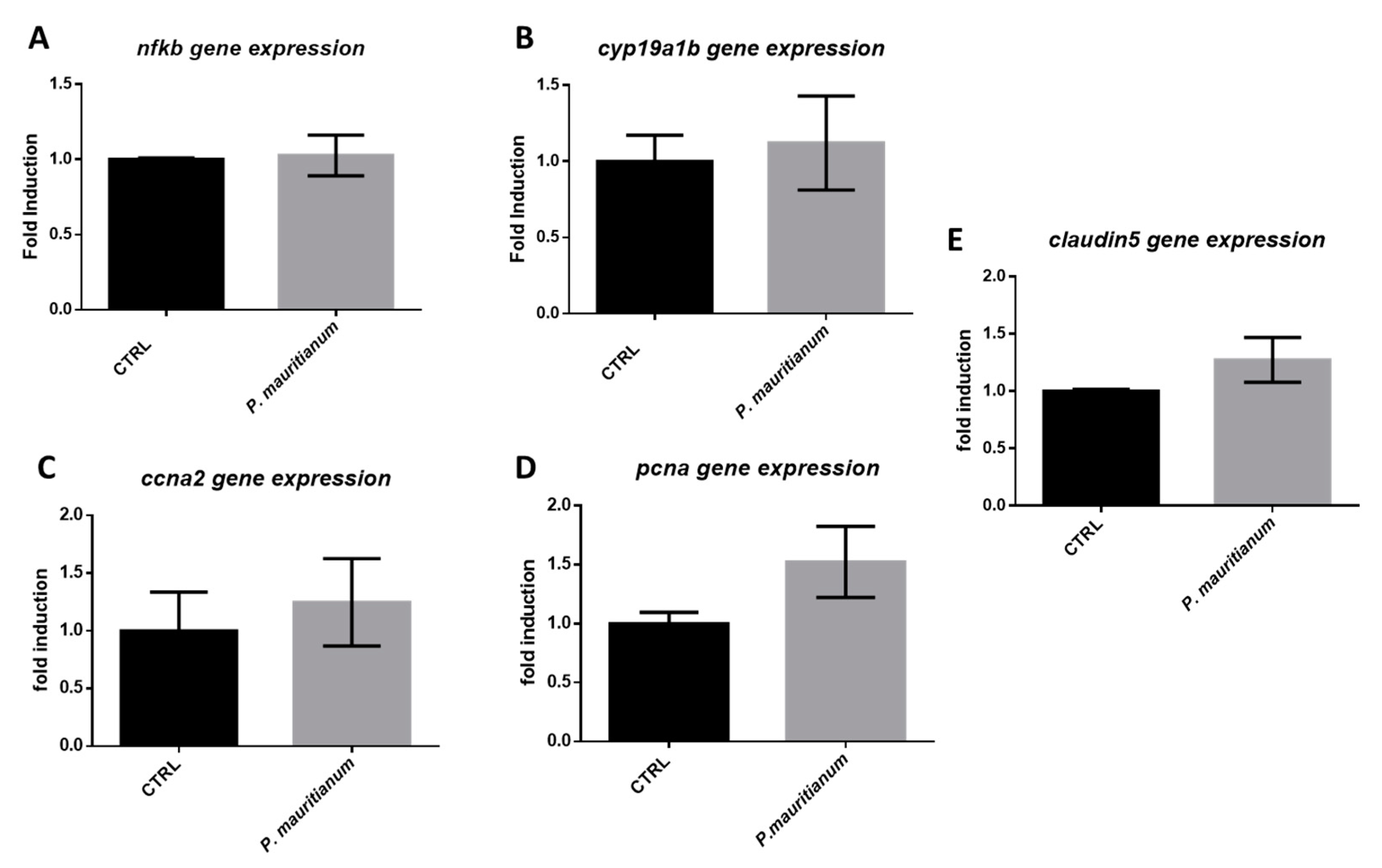 Antioxidants 11 01309 g010