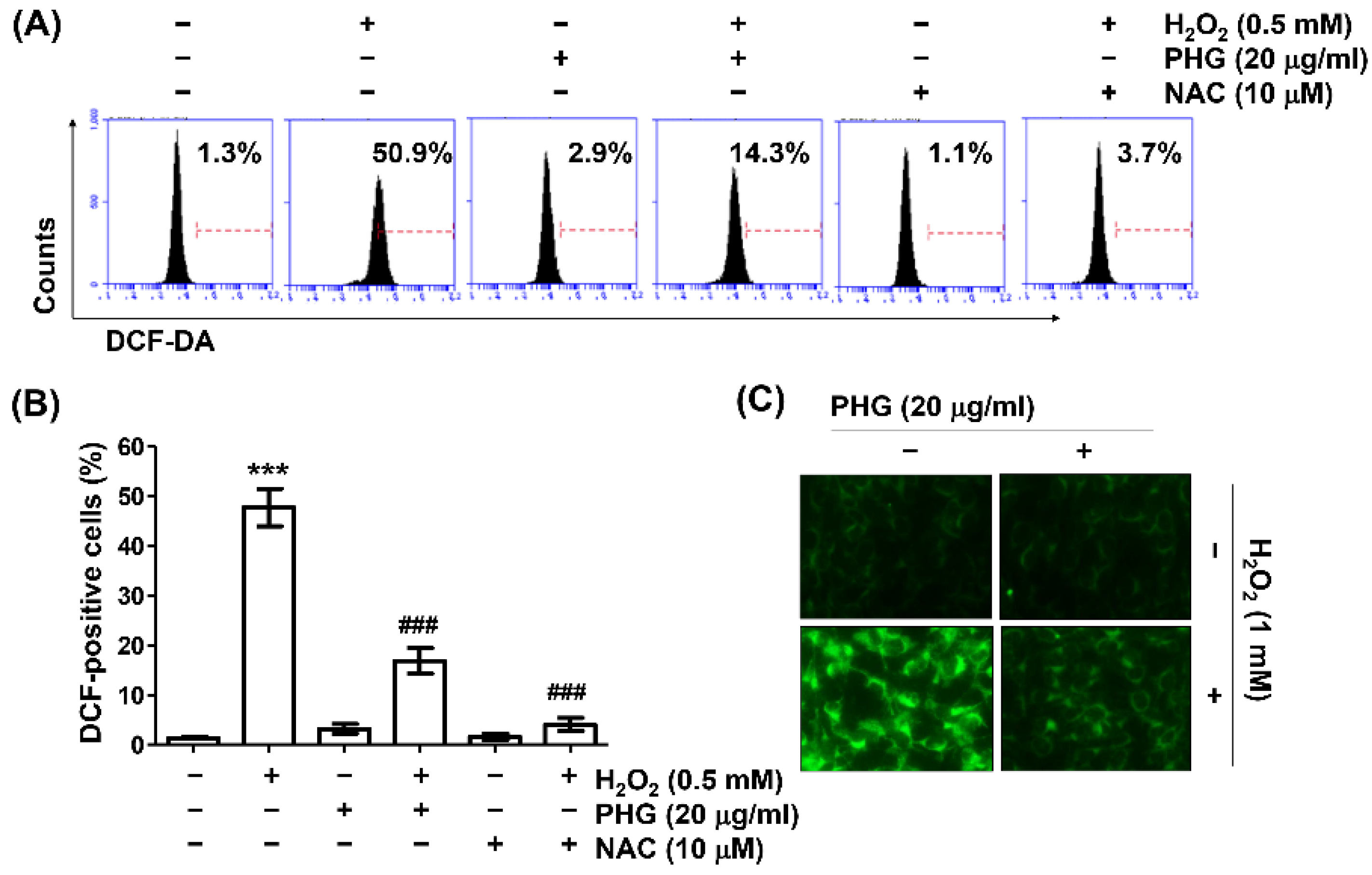 Antioxidants 11 02353 g003