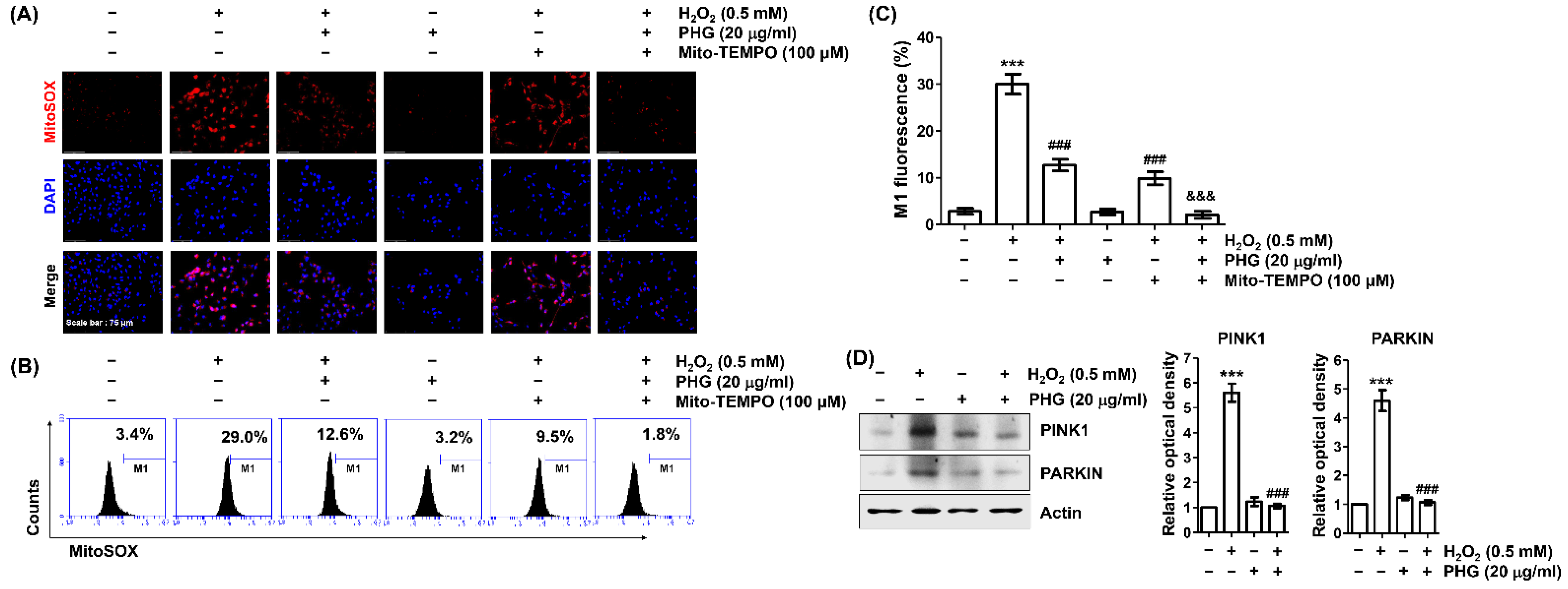 Antioxidants 11 02353 g005