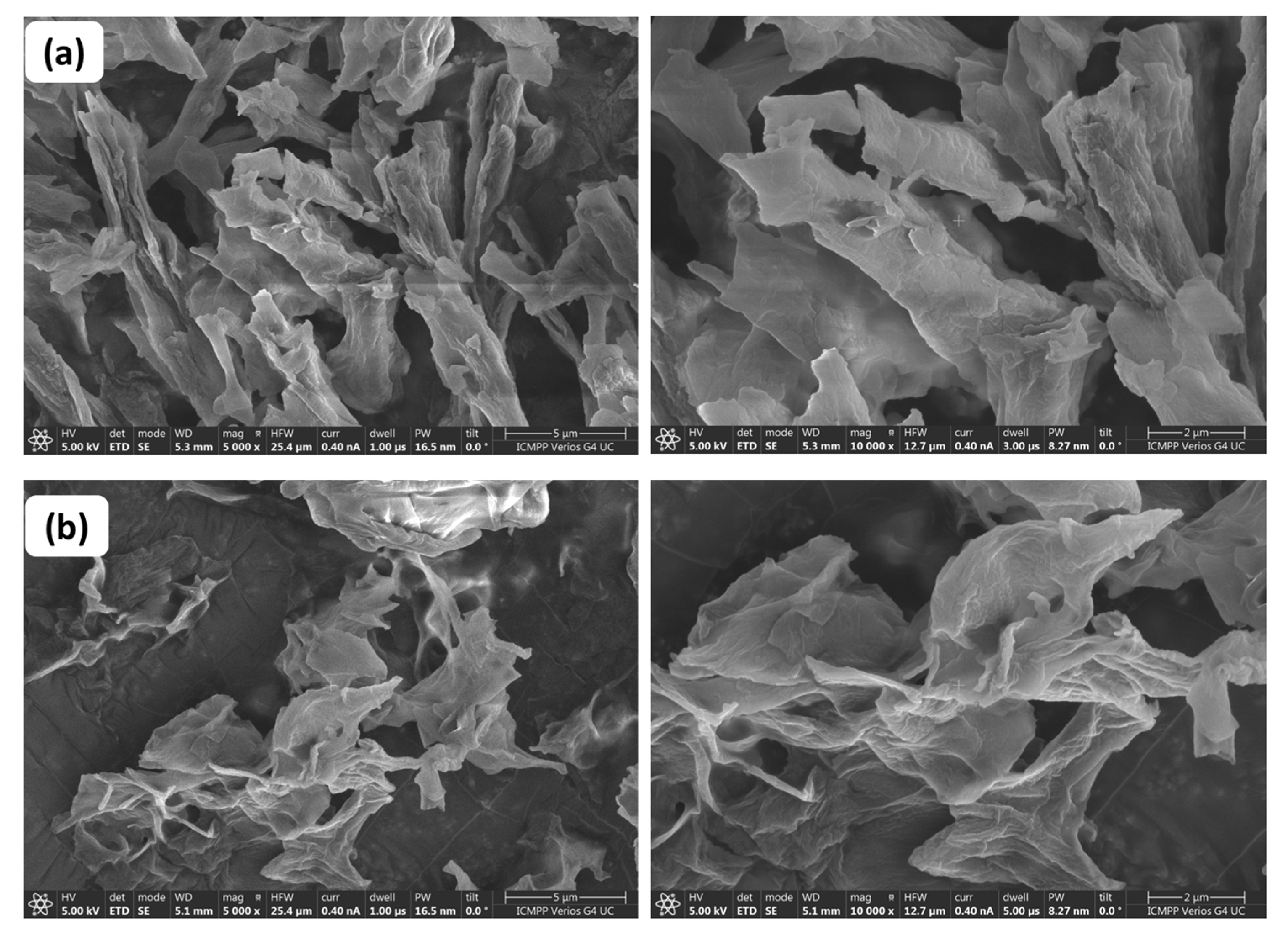 Antioxidants 11 02471 g009 Antioxidants 11 02471 g009