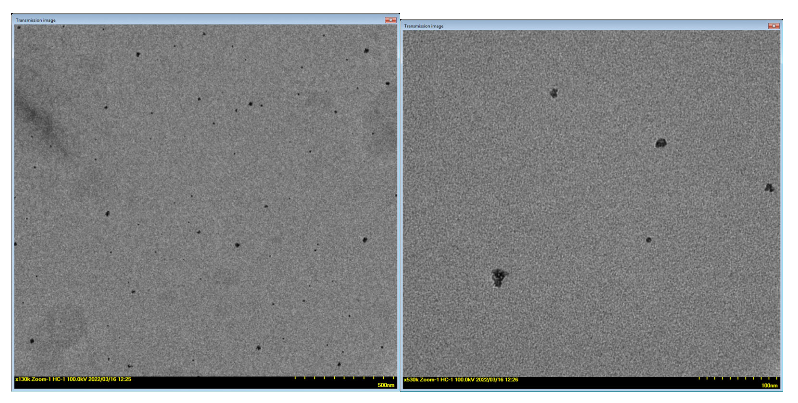 Antioxidants 11 02471 g010 Antioxidants 11 02471 g010