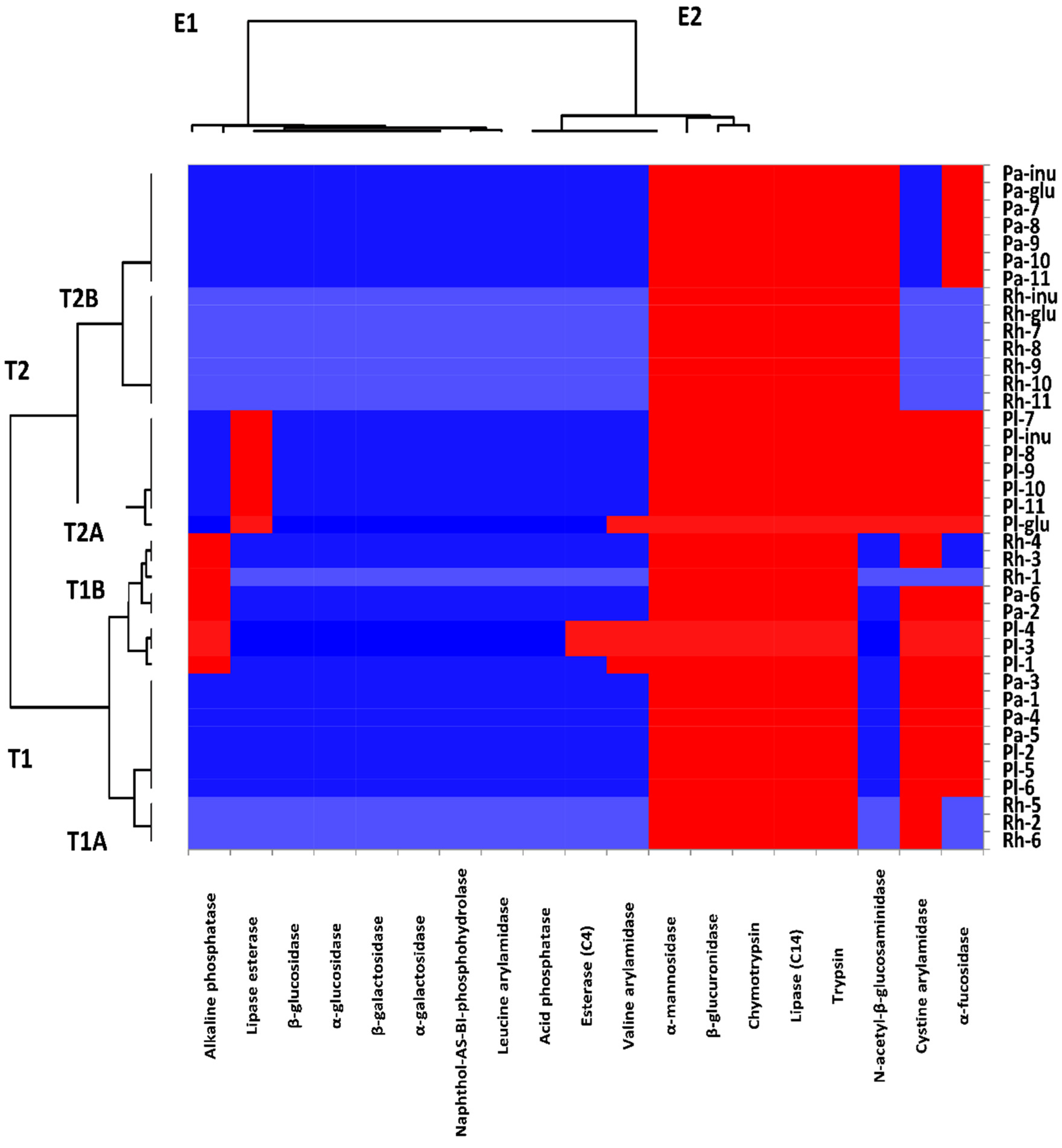 Antioxidants 11 02482 g004