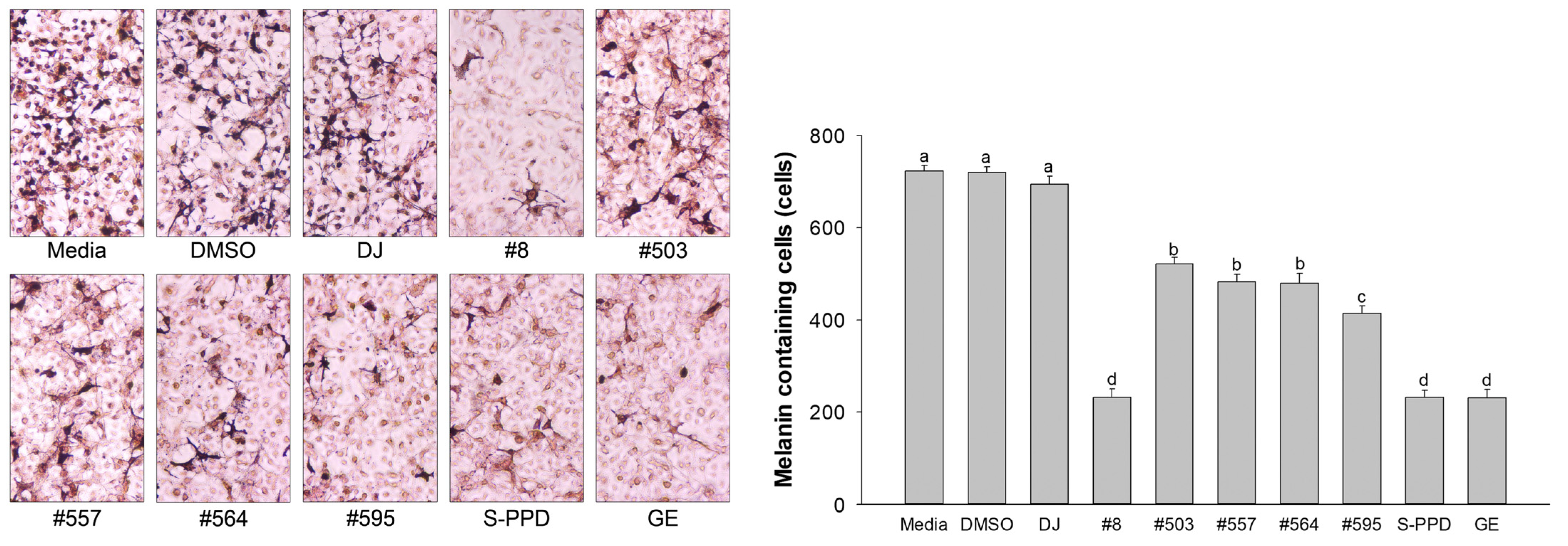 Antioxidants 12 00166 g005