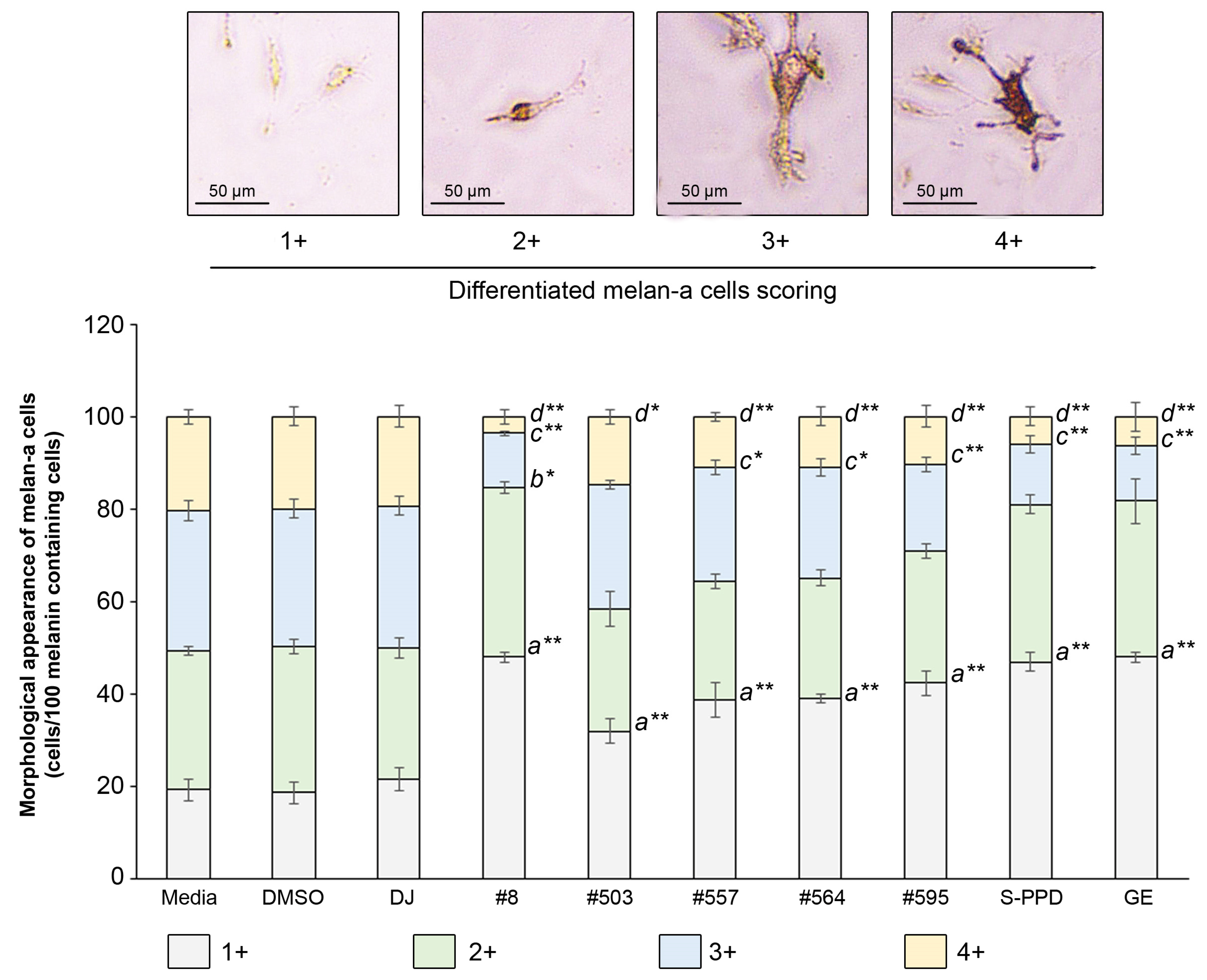 Antioxidants 12 00166 g006