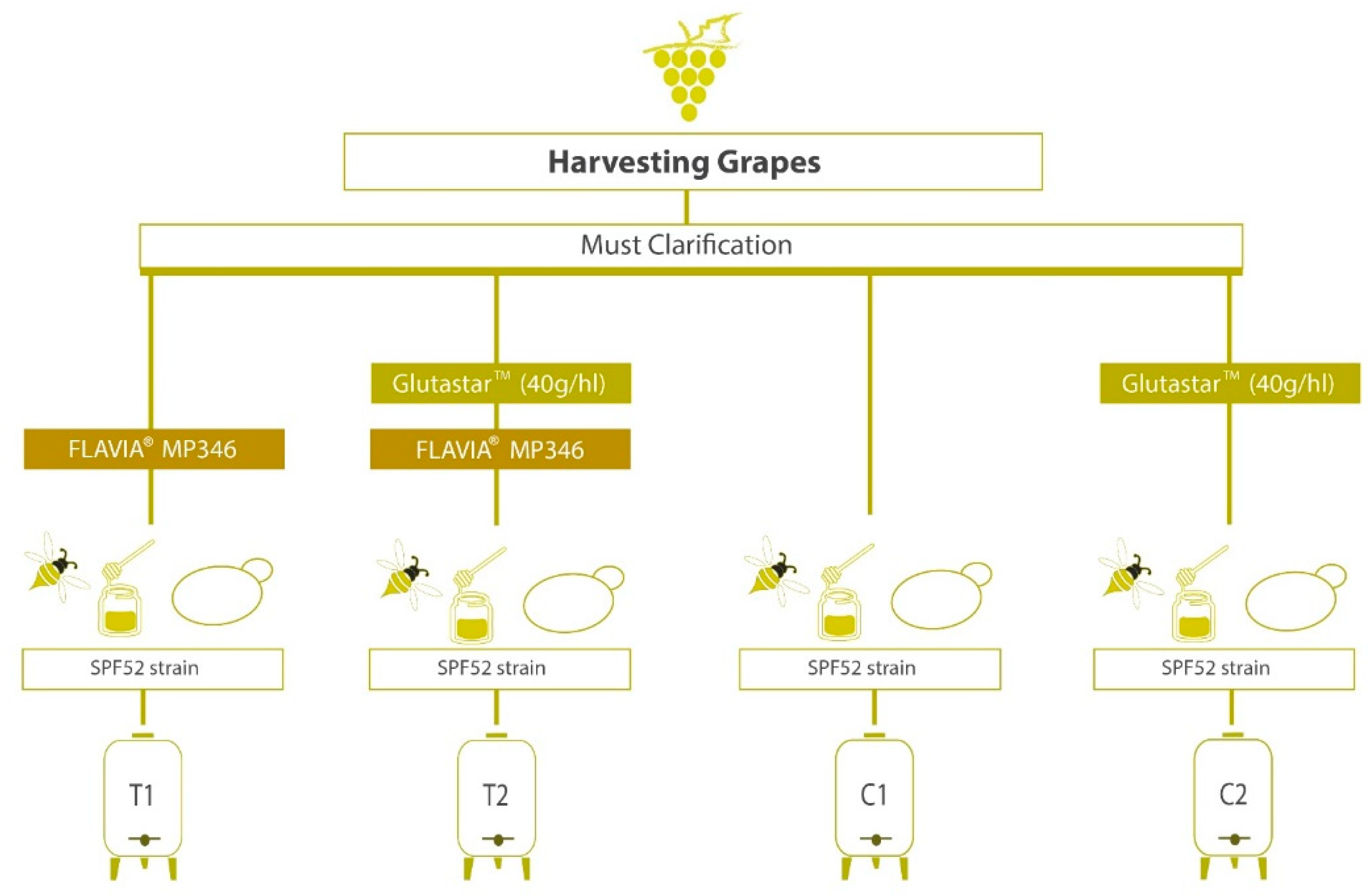 Antioxidants 12 00439 g001