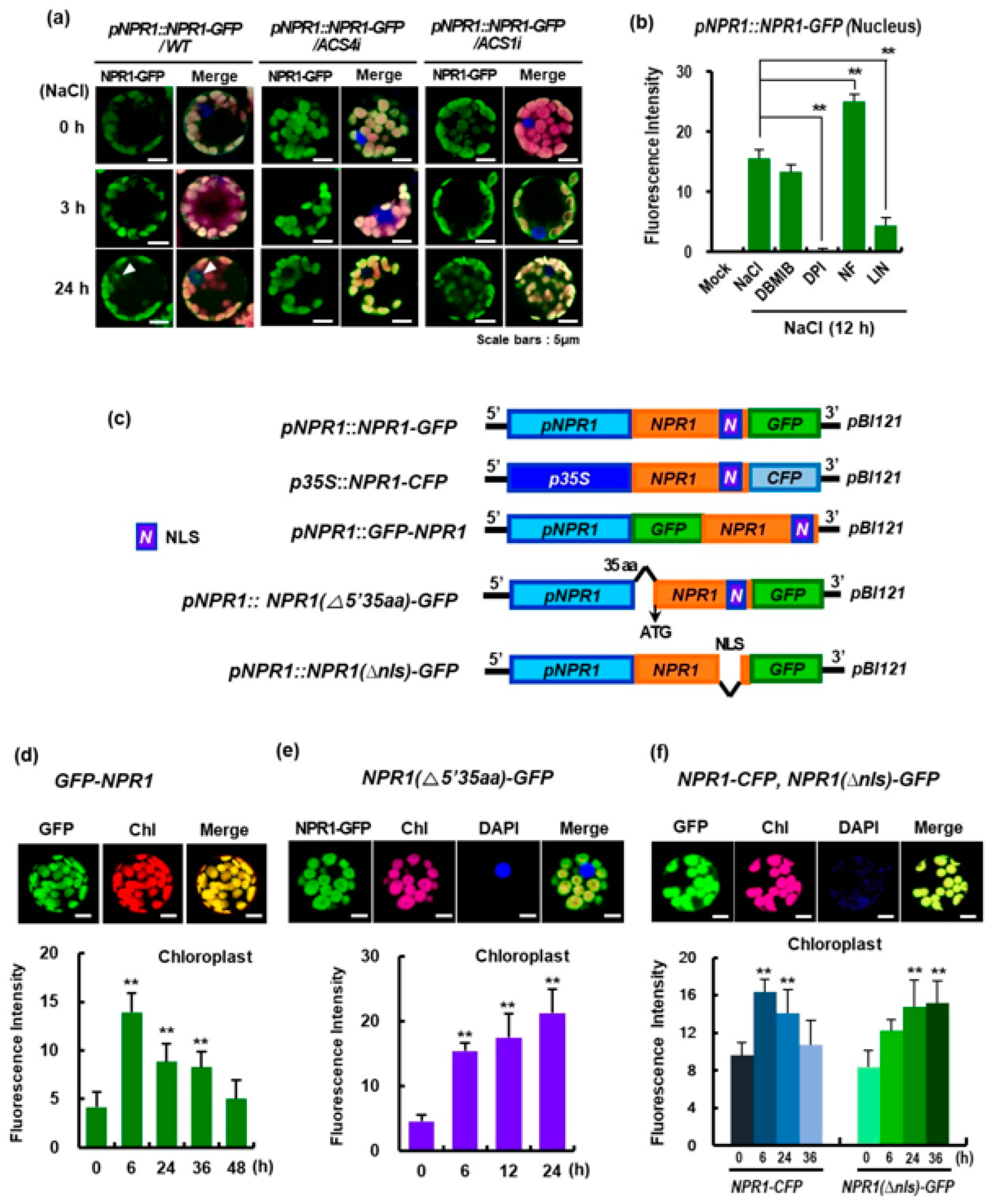 Antioxidants 12 01118 g002