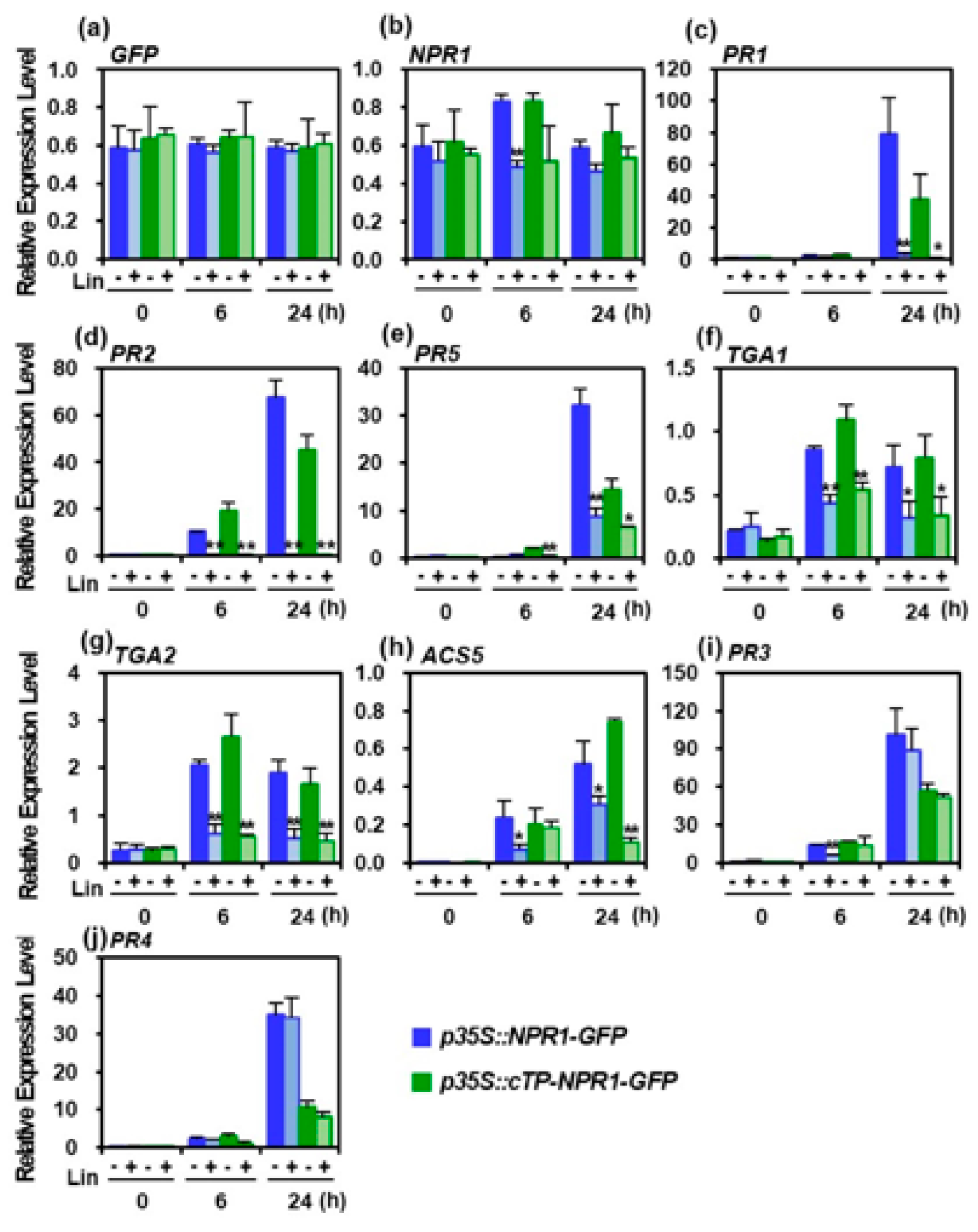 Antioxidants 12 01118 g006