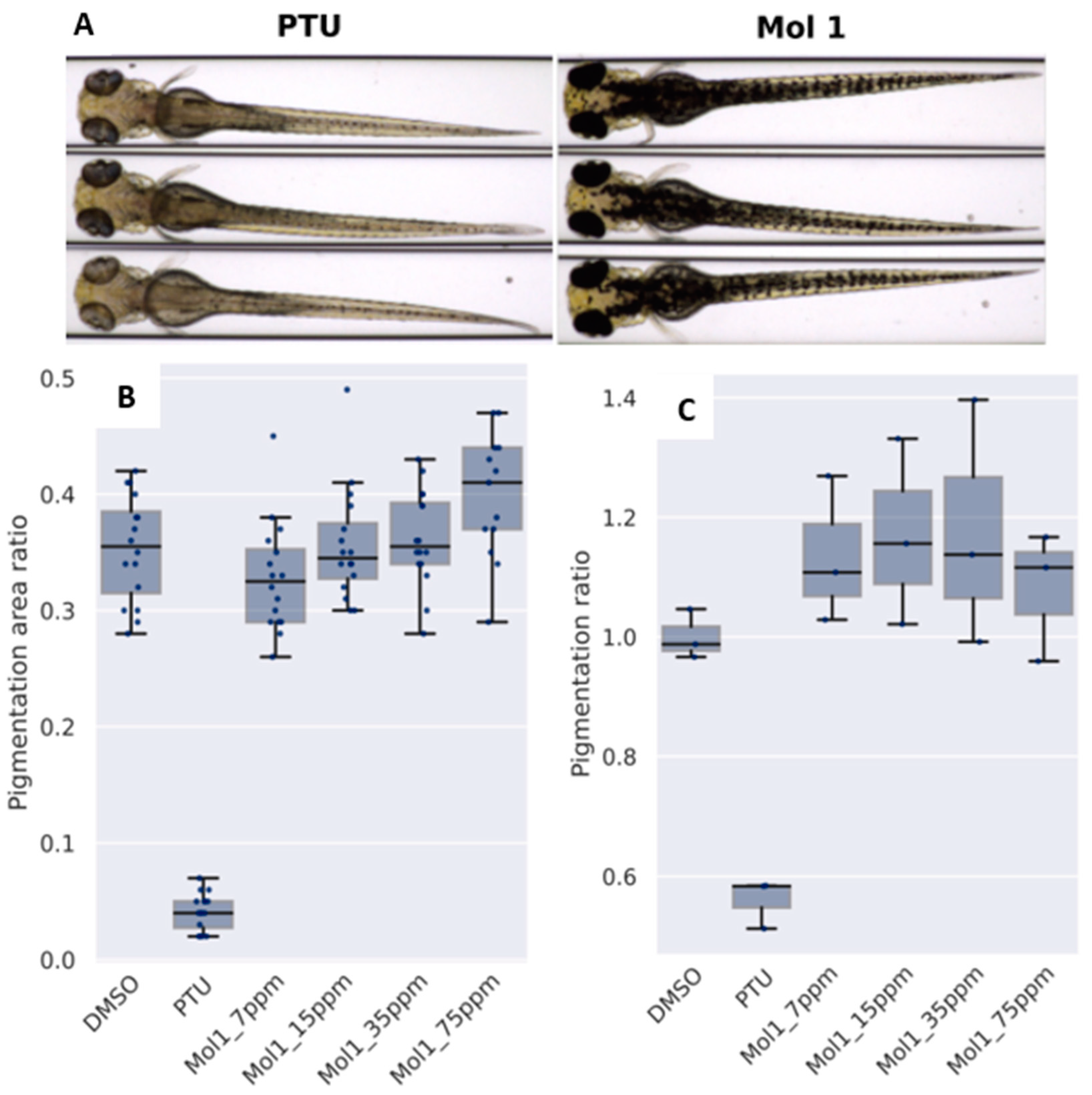 Antioxidants 12 01892 g002