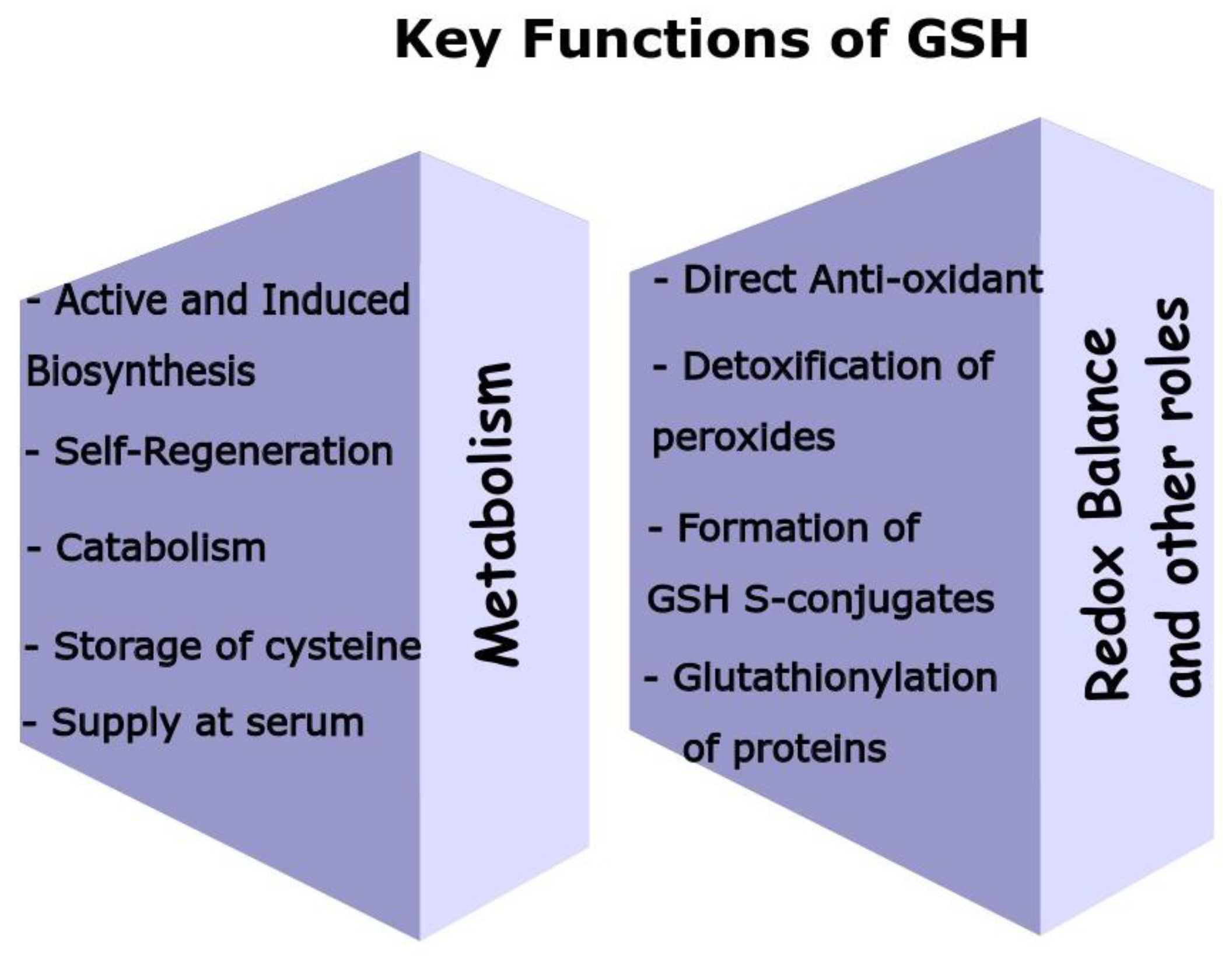 Antioxidants 12 01953 g002