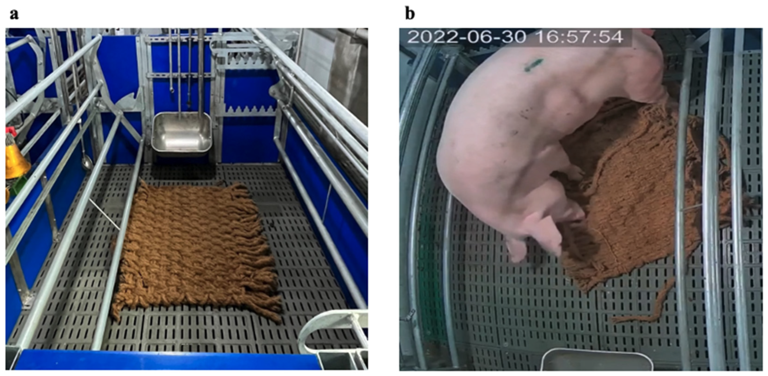 Antioxidants 13 00210 g001