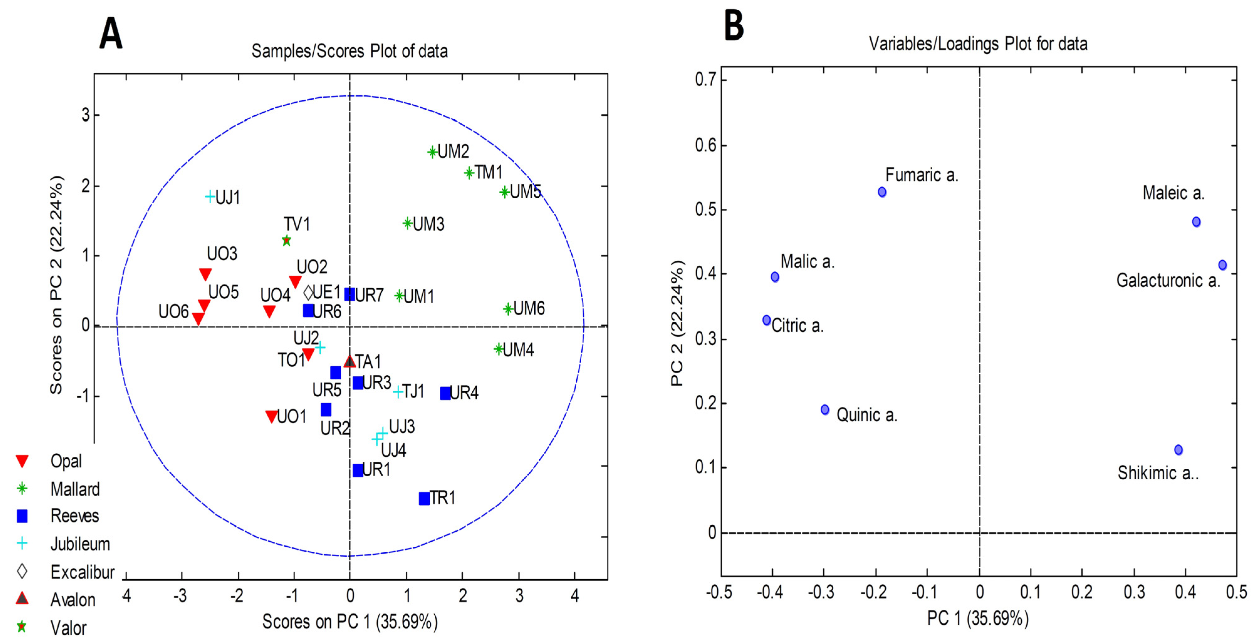 Antioxidants 13 00526 g001