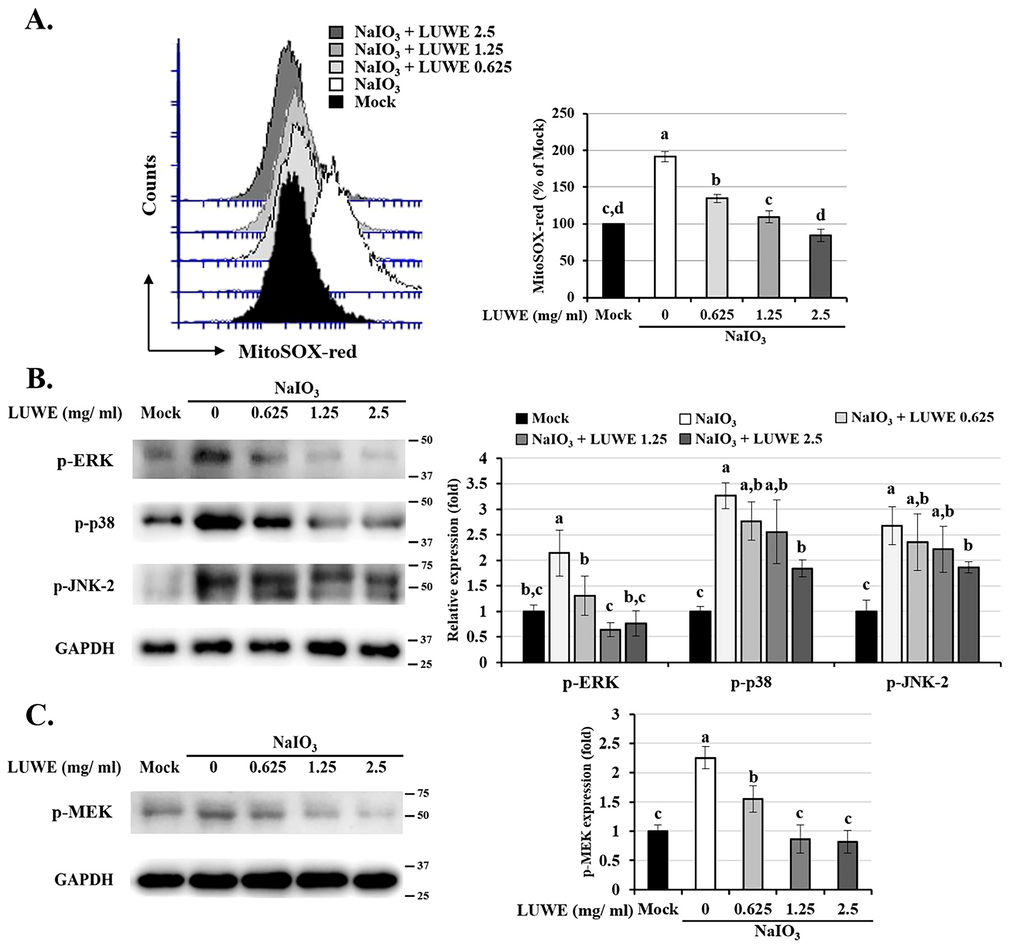 Antioxidants 13 00538 g004