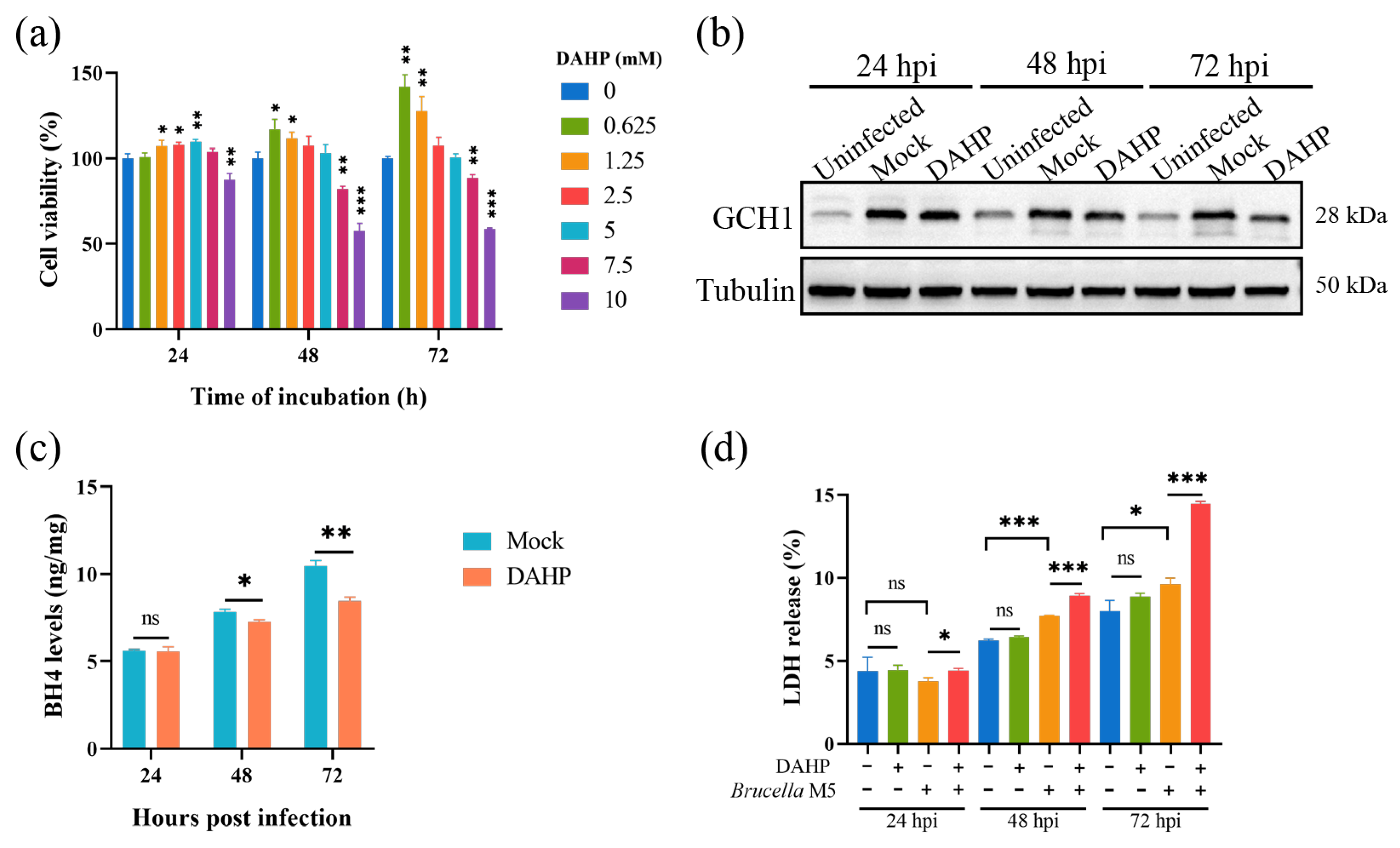 Antioxidants 13 00577 g003