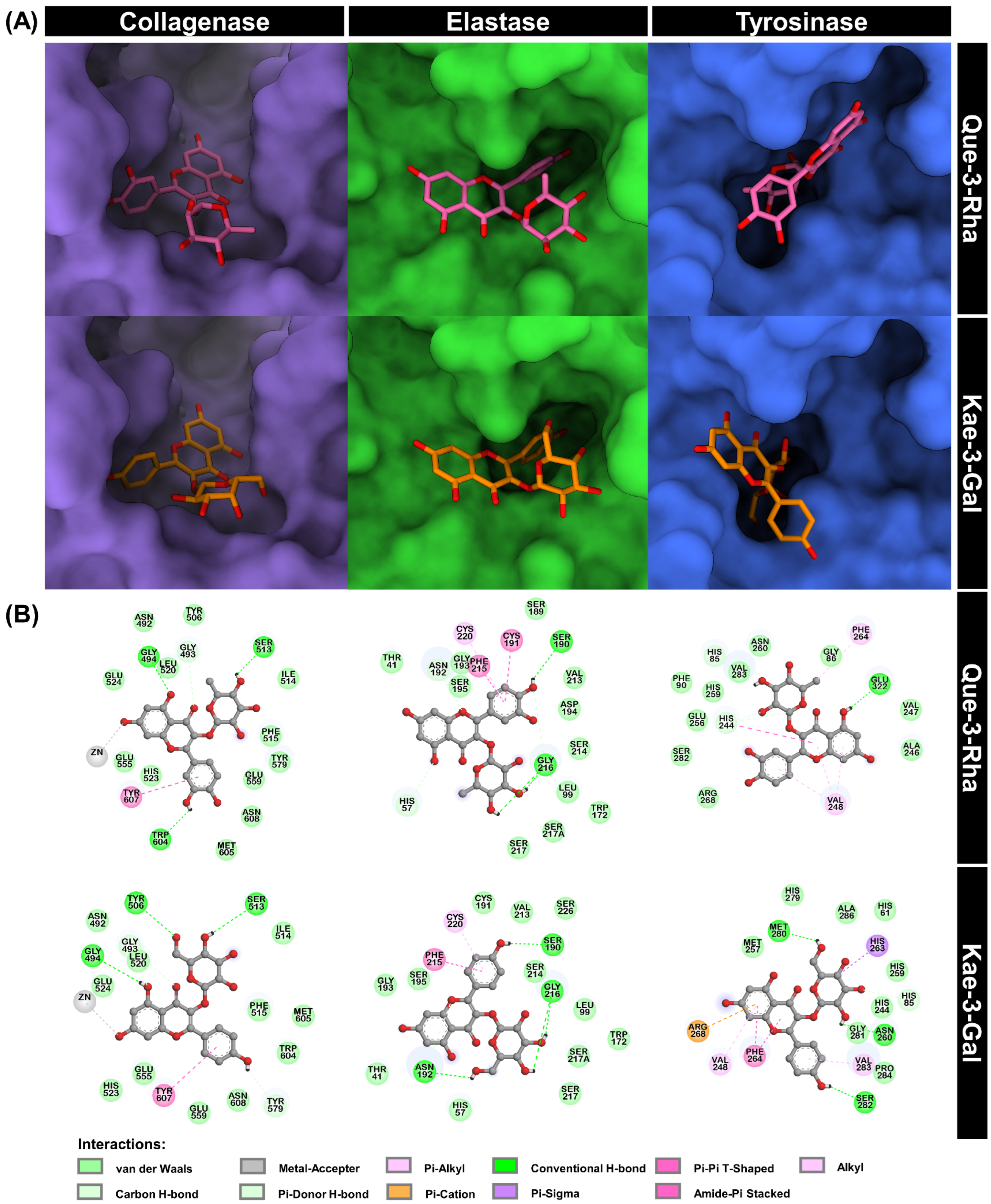 Antioxidants 13 00601 g002