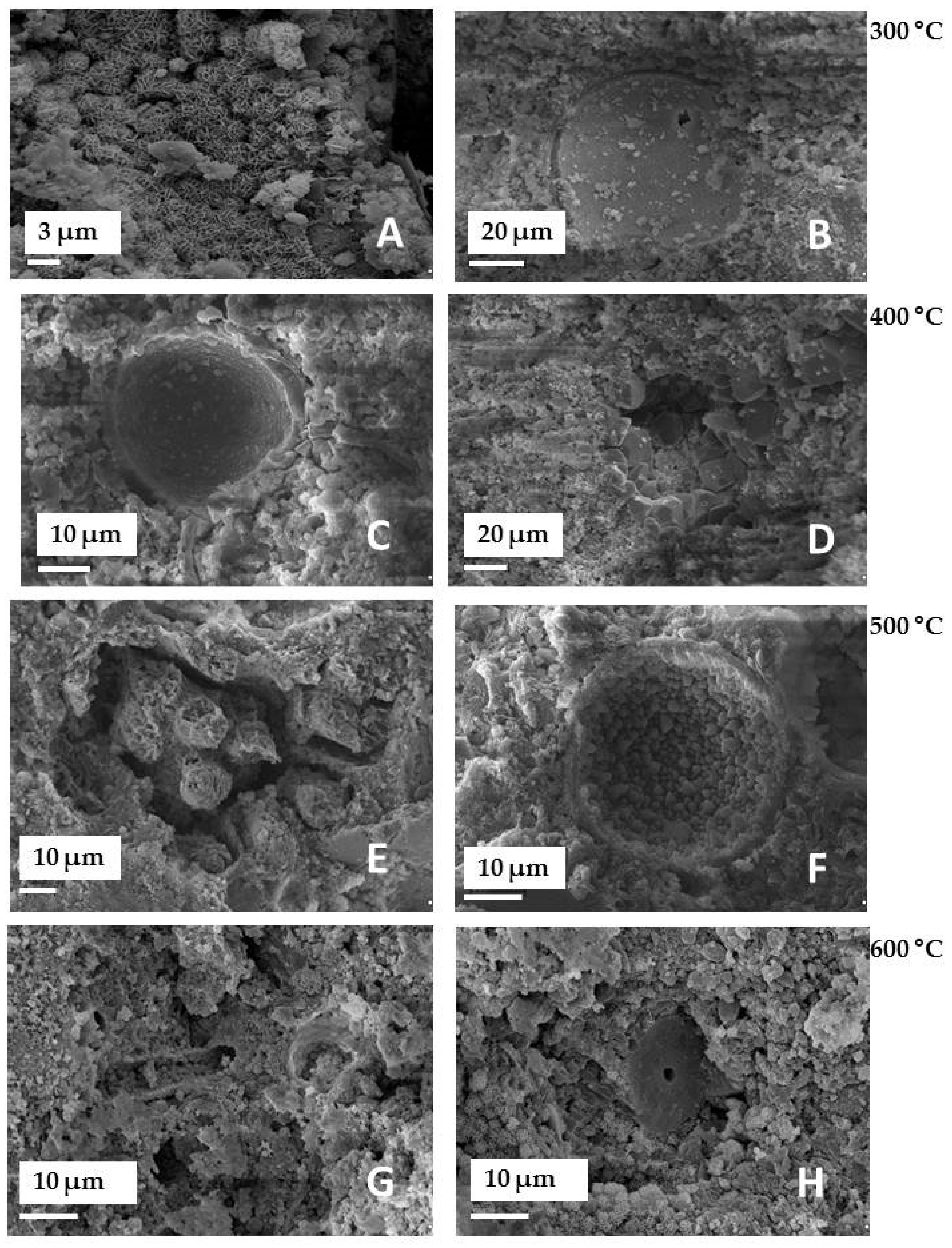 Appliedchem 01 00008 g003