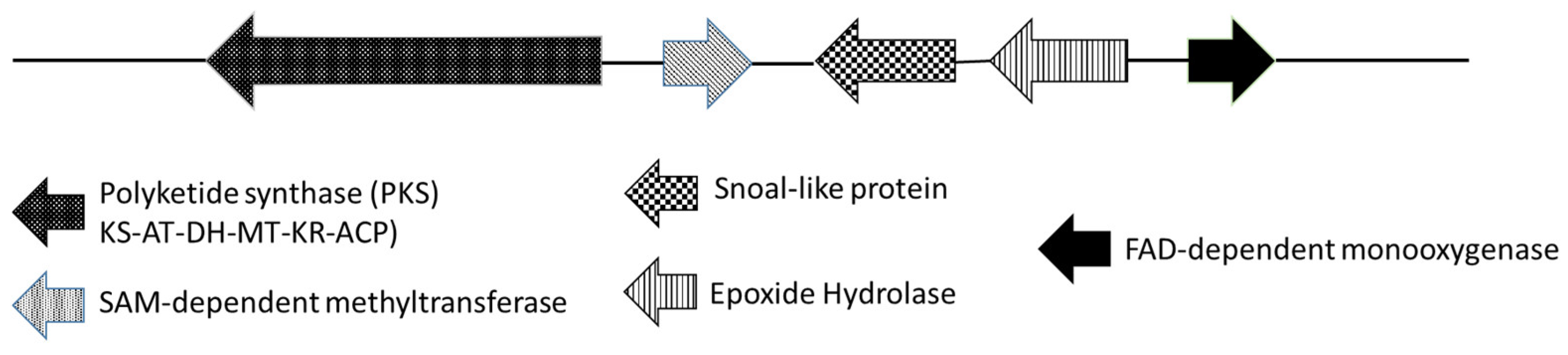 Applmicrobiol 03 00042 g003
