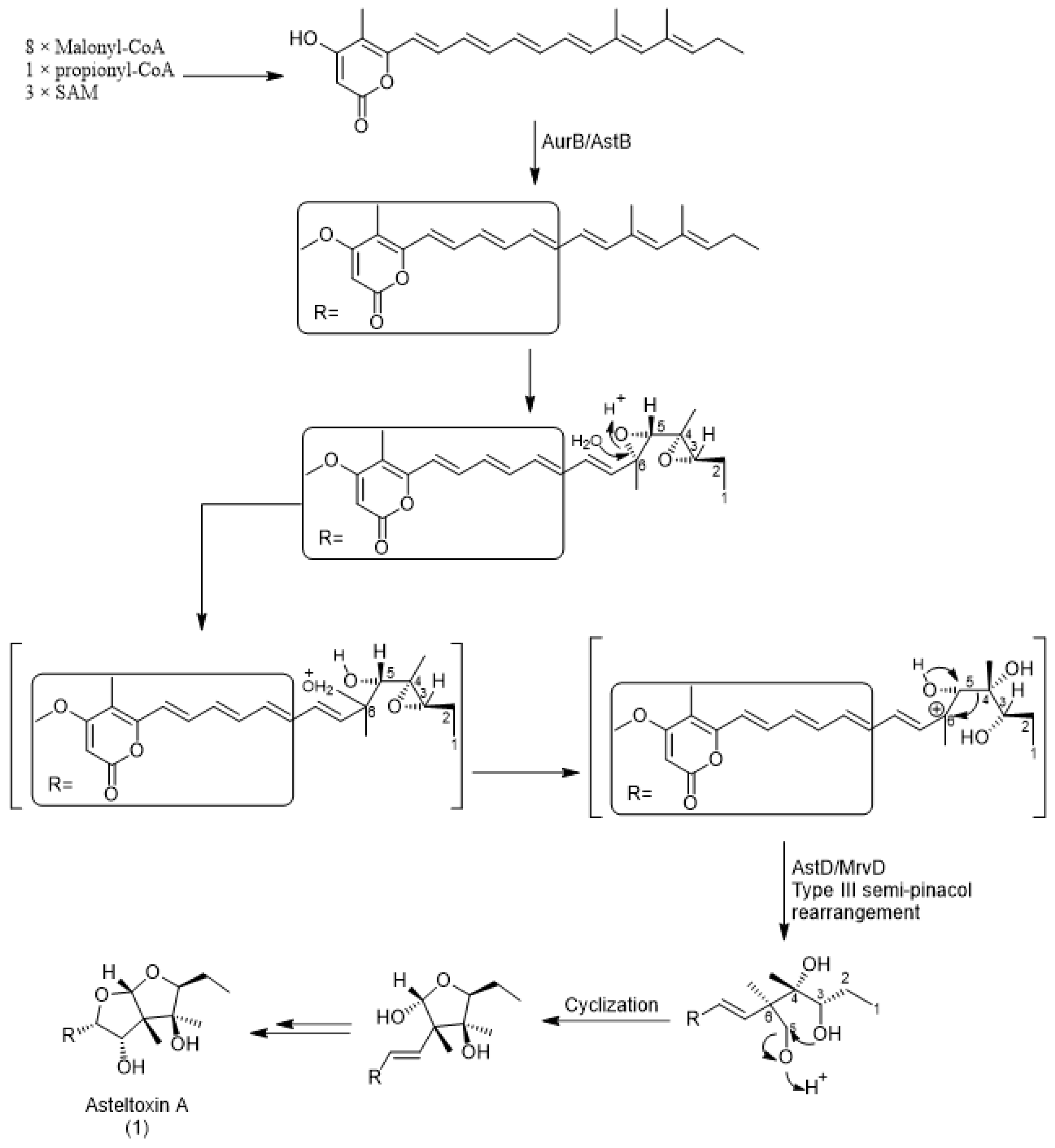 Applmicrobiol 03 00042 sch002