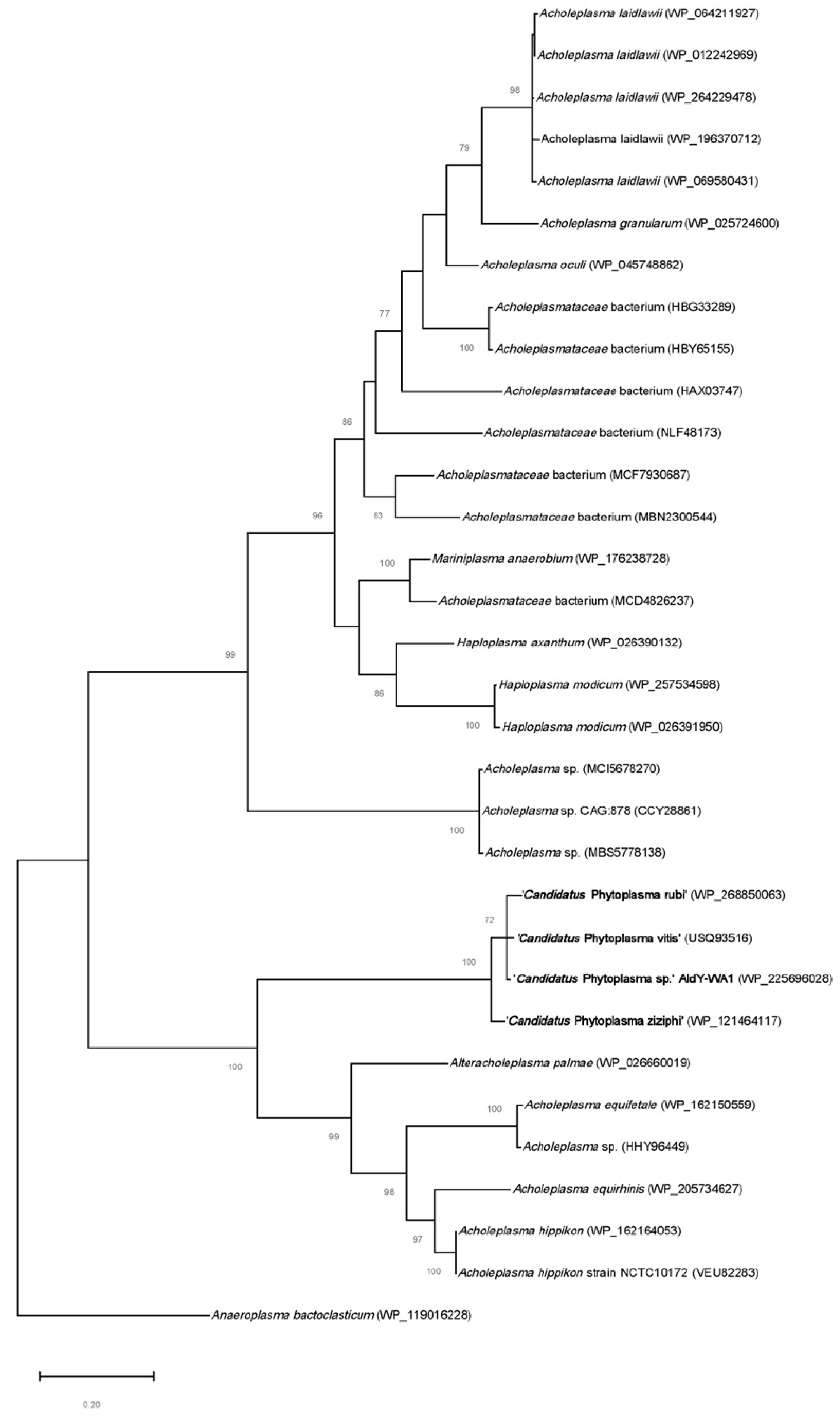Applmicrobiol 03 00075 g005
