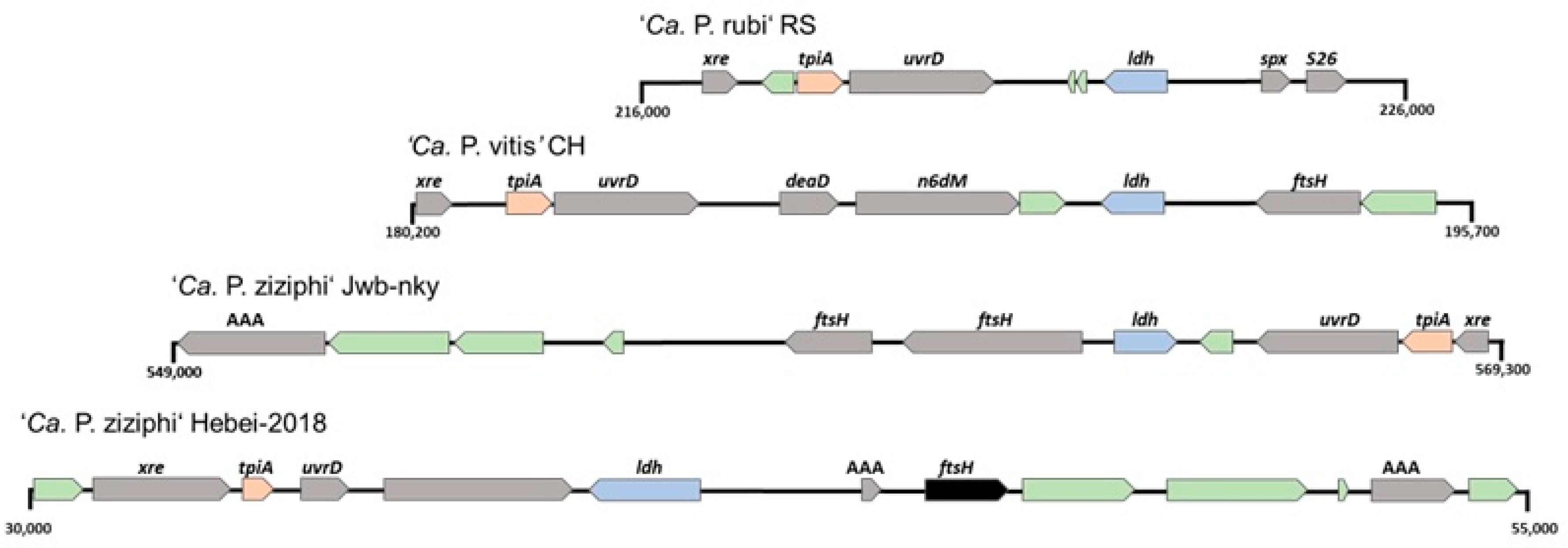 Applmicrobiol 03 00075 g006