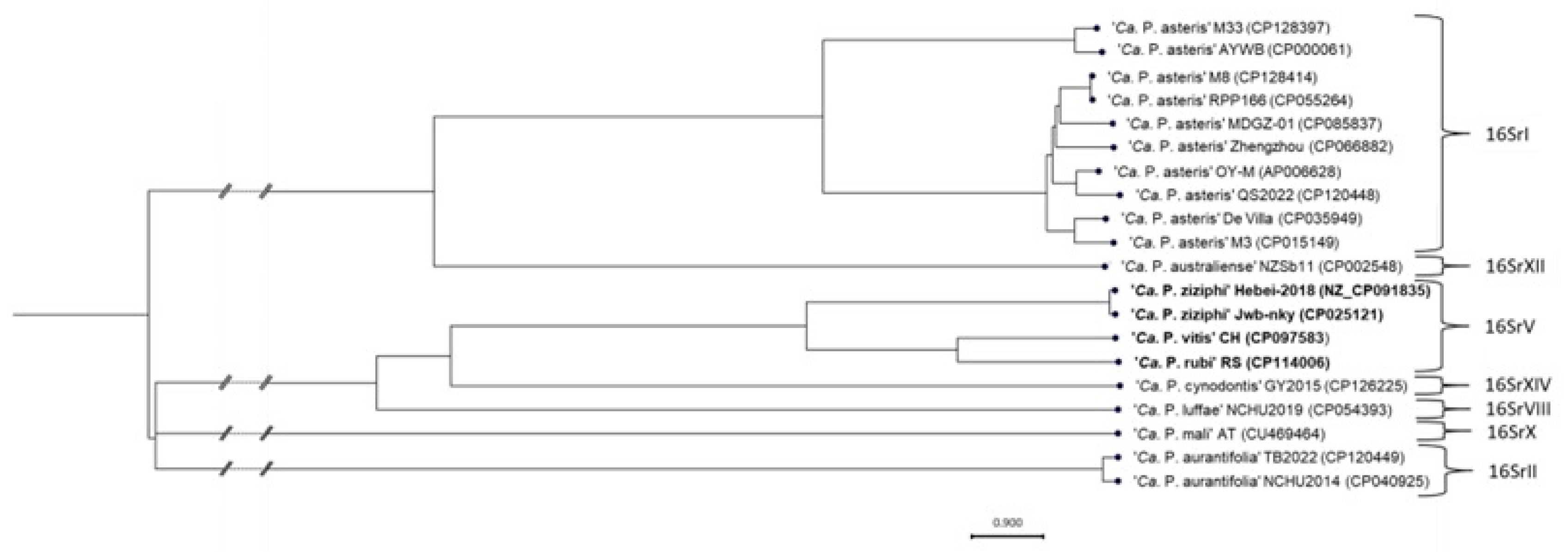 Applmicrobiol 03 00075 g009