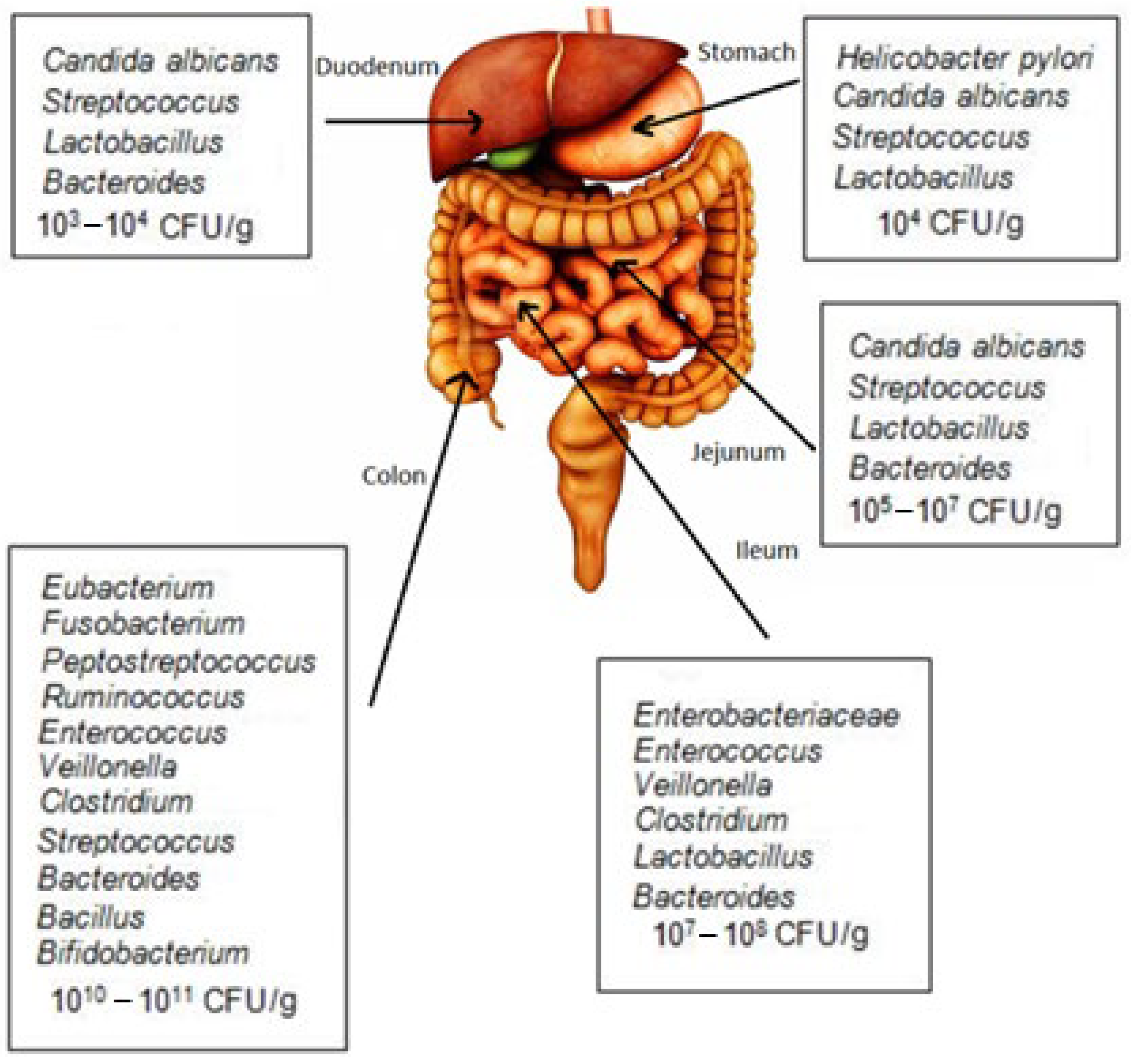 Applmicrobiol 04 00004 g001