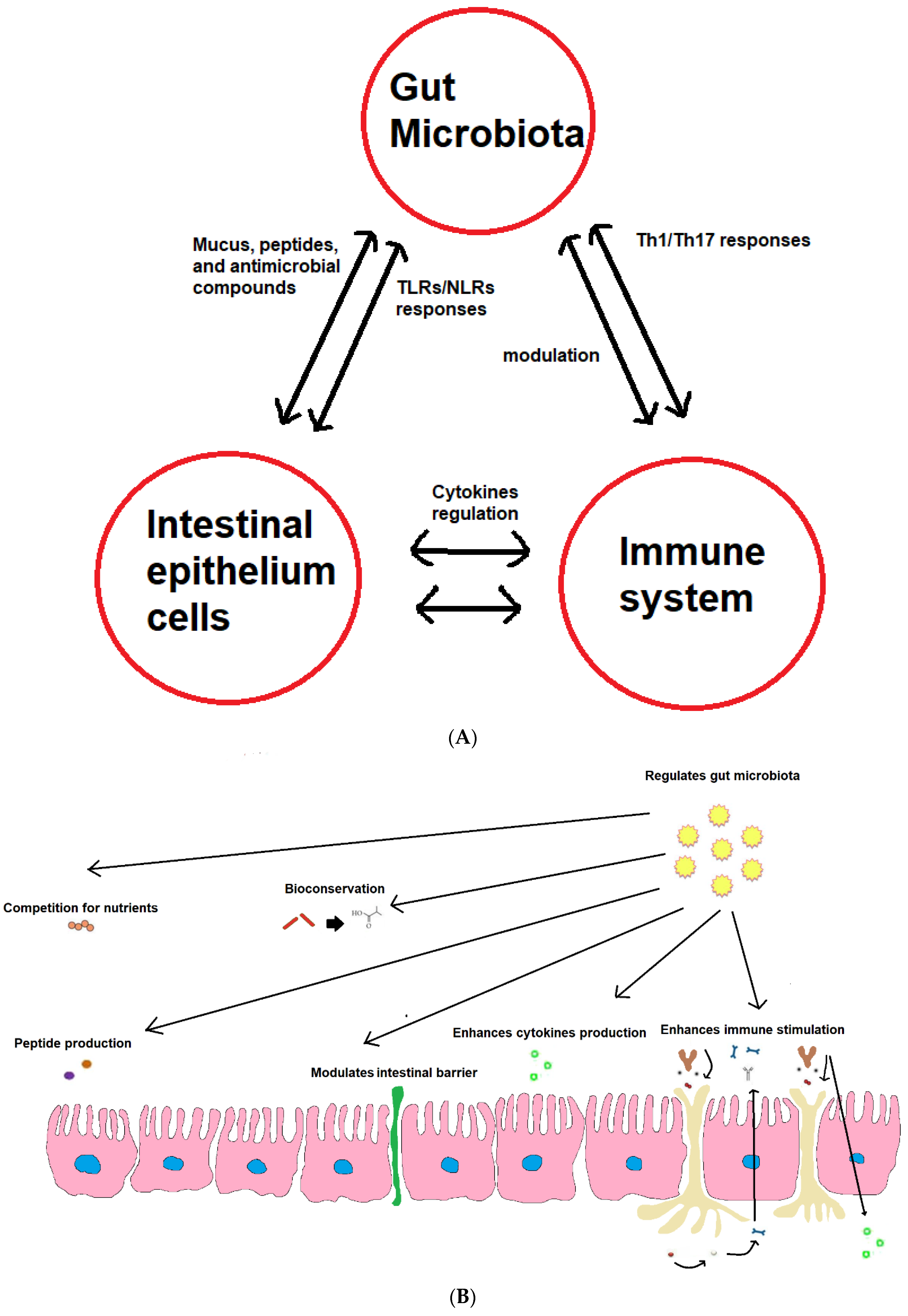 Applmicrobiol 04 00004 g002