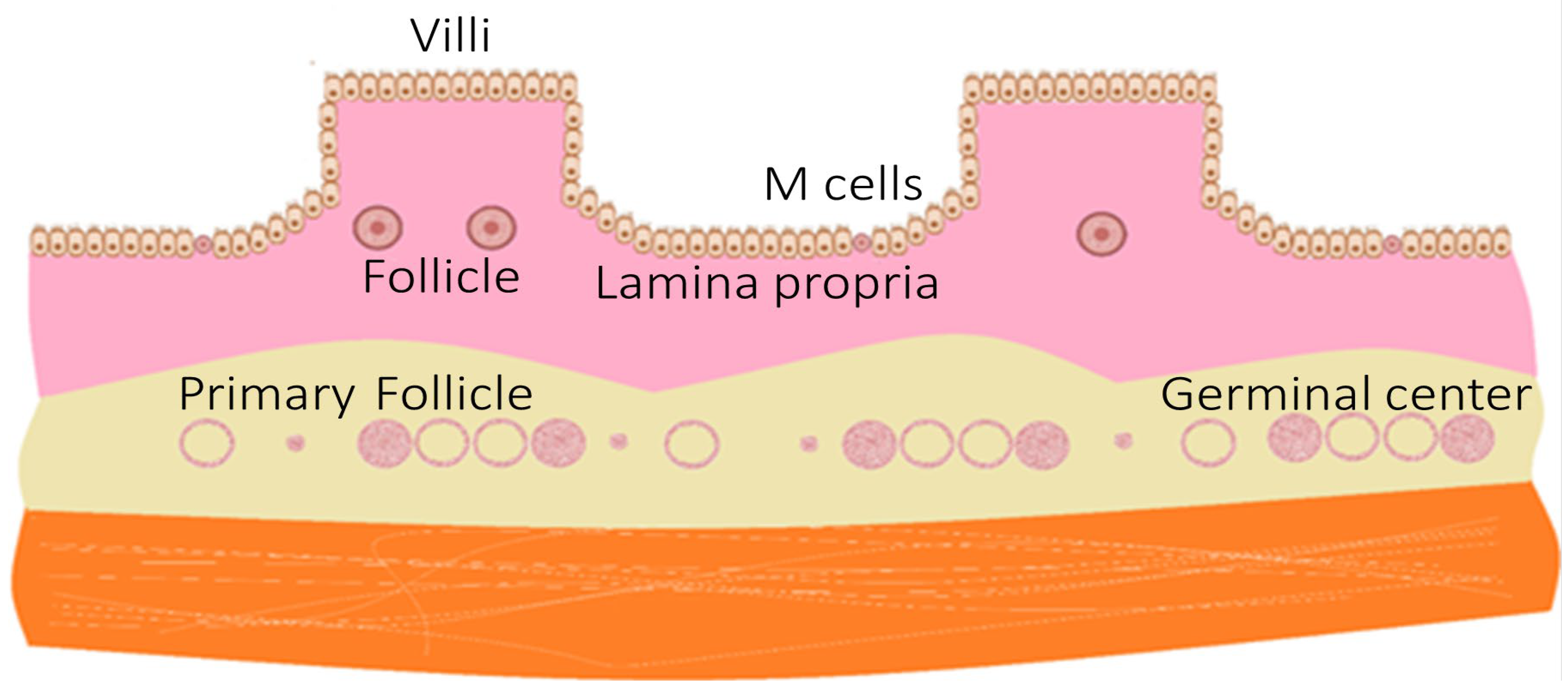 Applmicrobiol 04 00004 g005