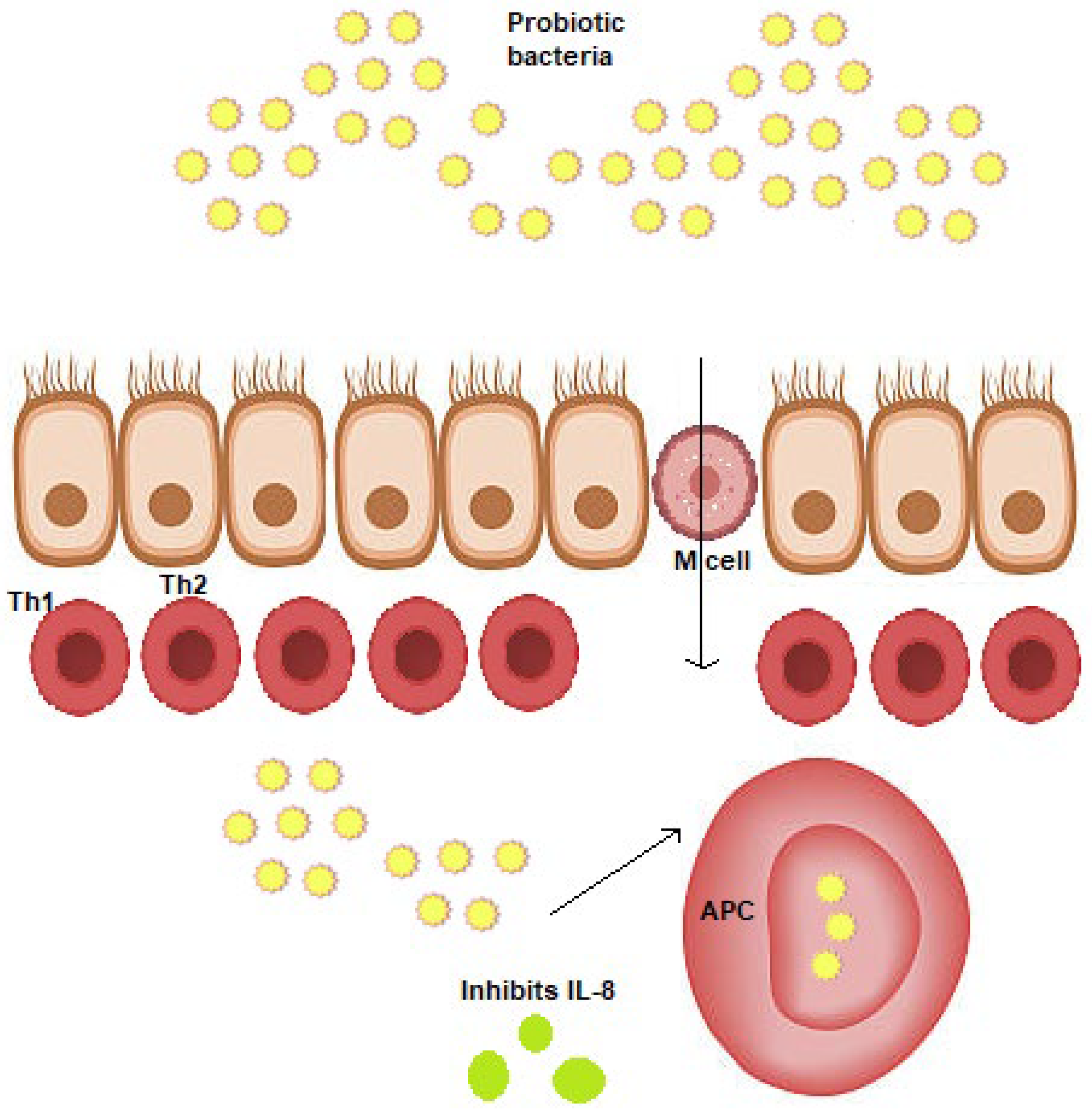 Applmicrobiol 04 00004 g006