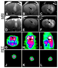 Applsci 02 00465 g006 200
