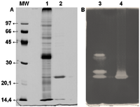 Applsci 02 00754 g002 200