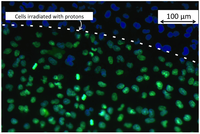 Applsci 03 00214 g019 200
