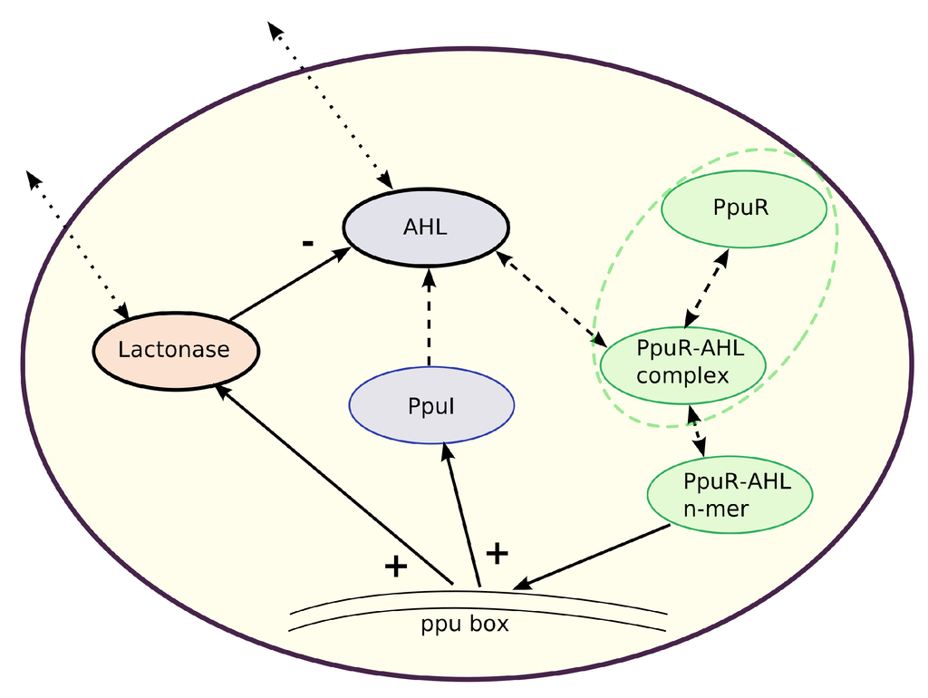 Applsci 06 00149 g001 1024