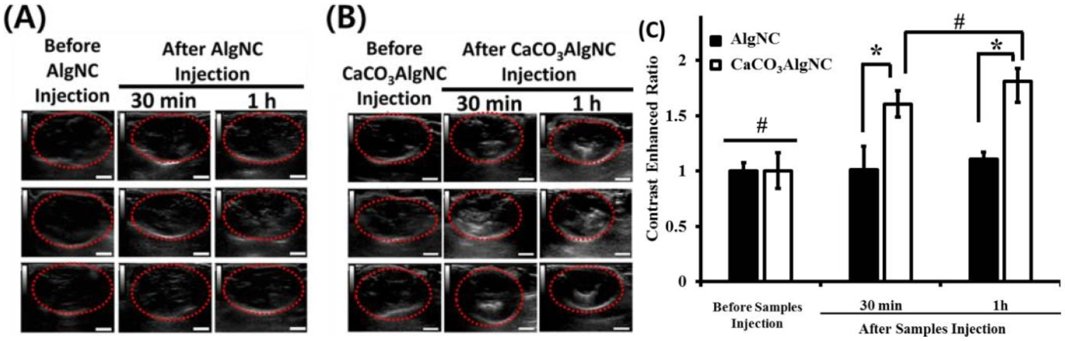 Applsci 06 00365 g003